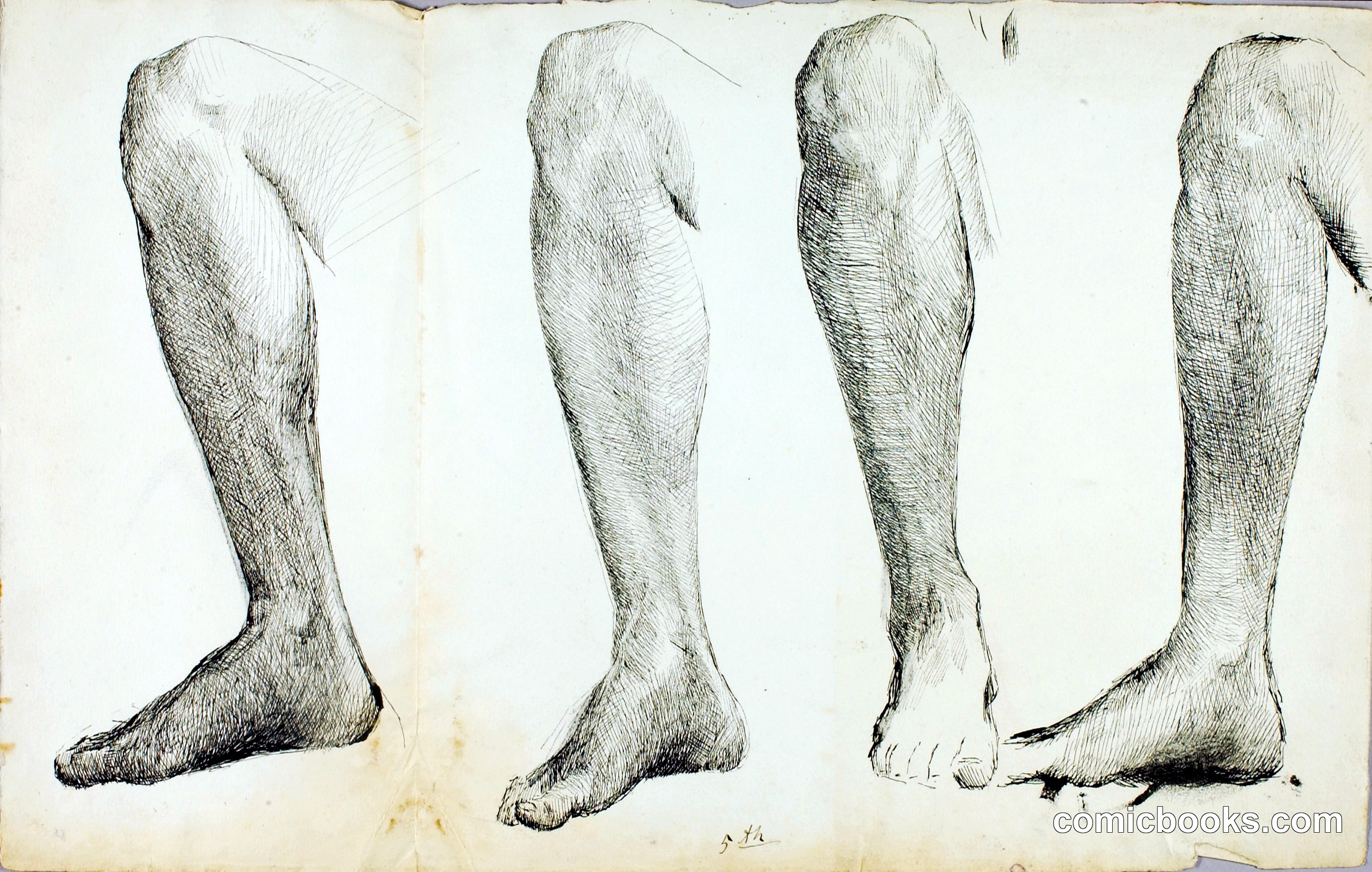 Study of Anatomy, #5