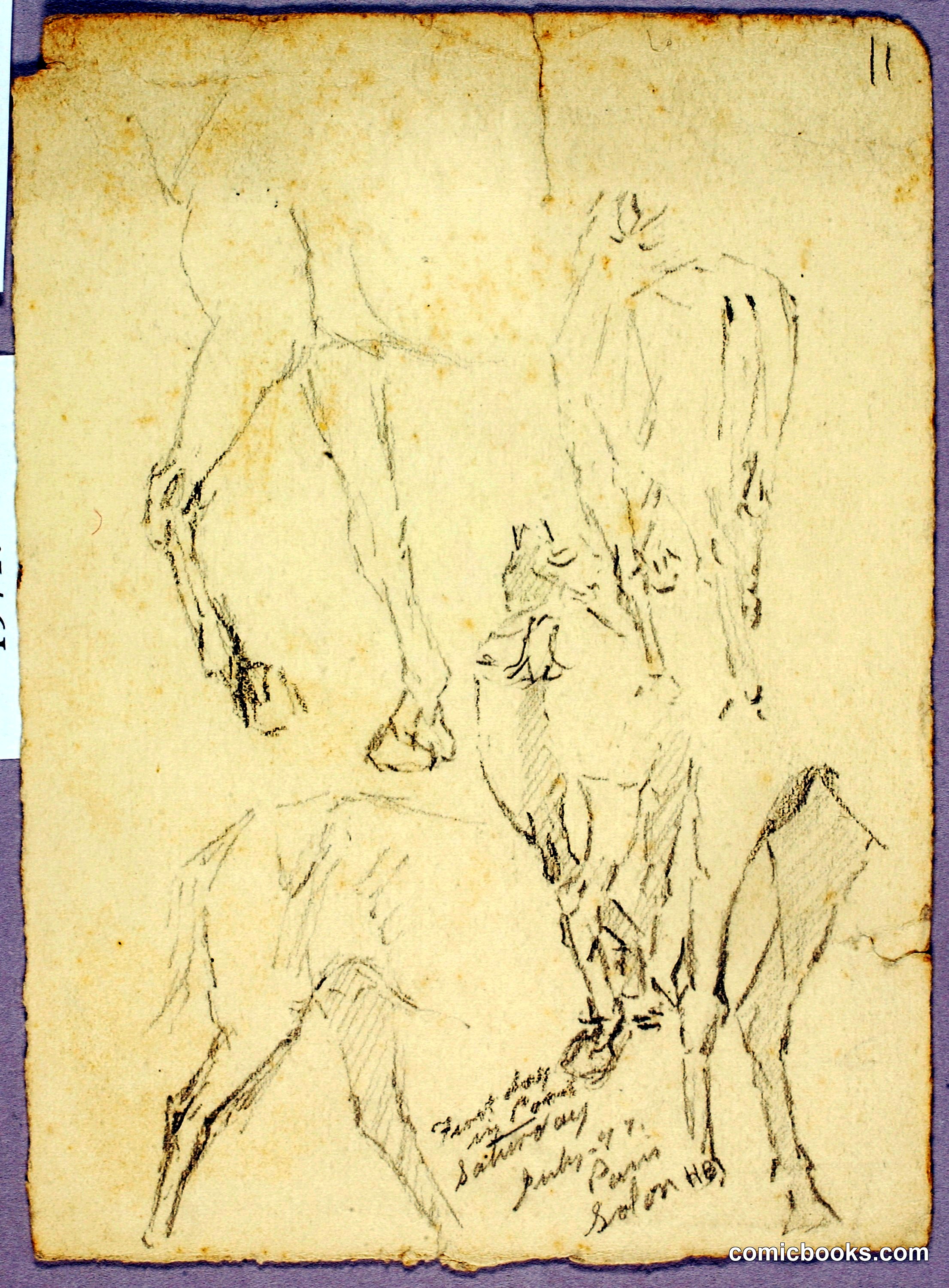 Horse Studies