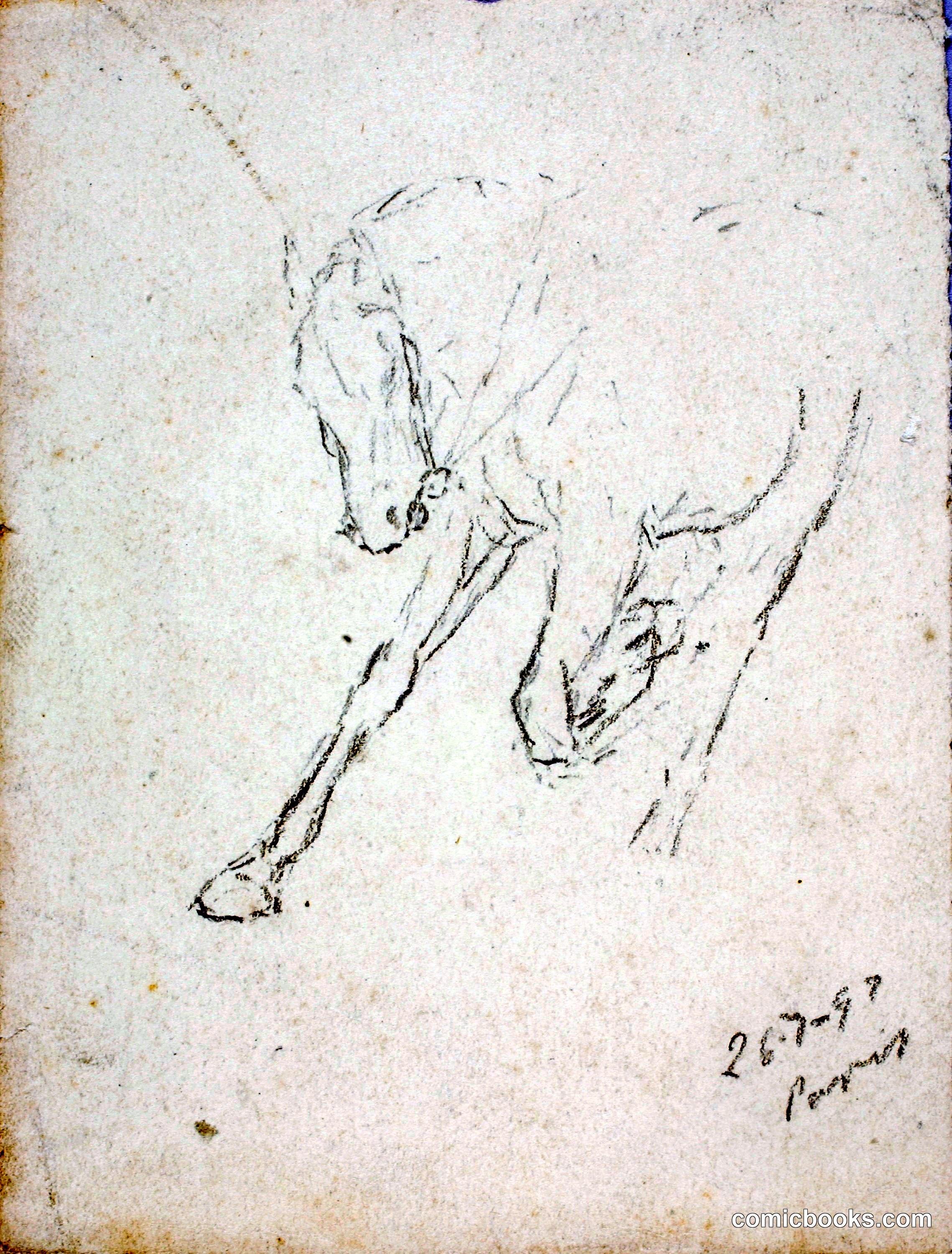 Horse Study