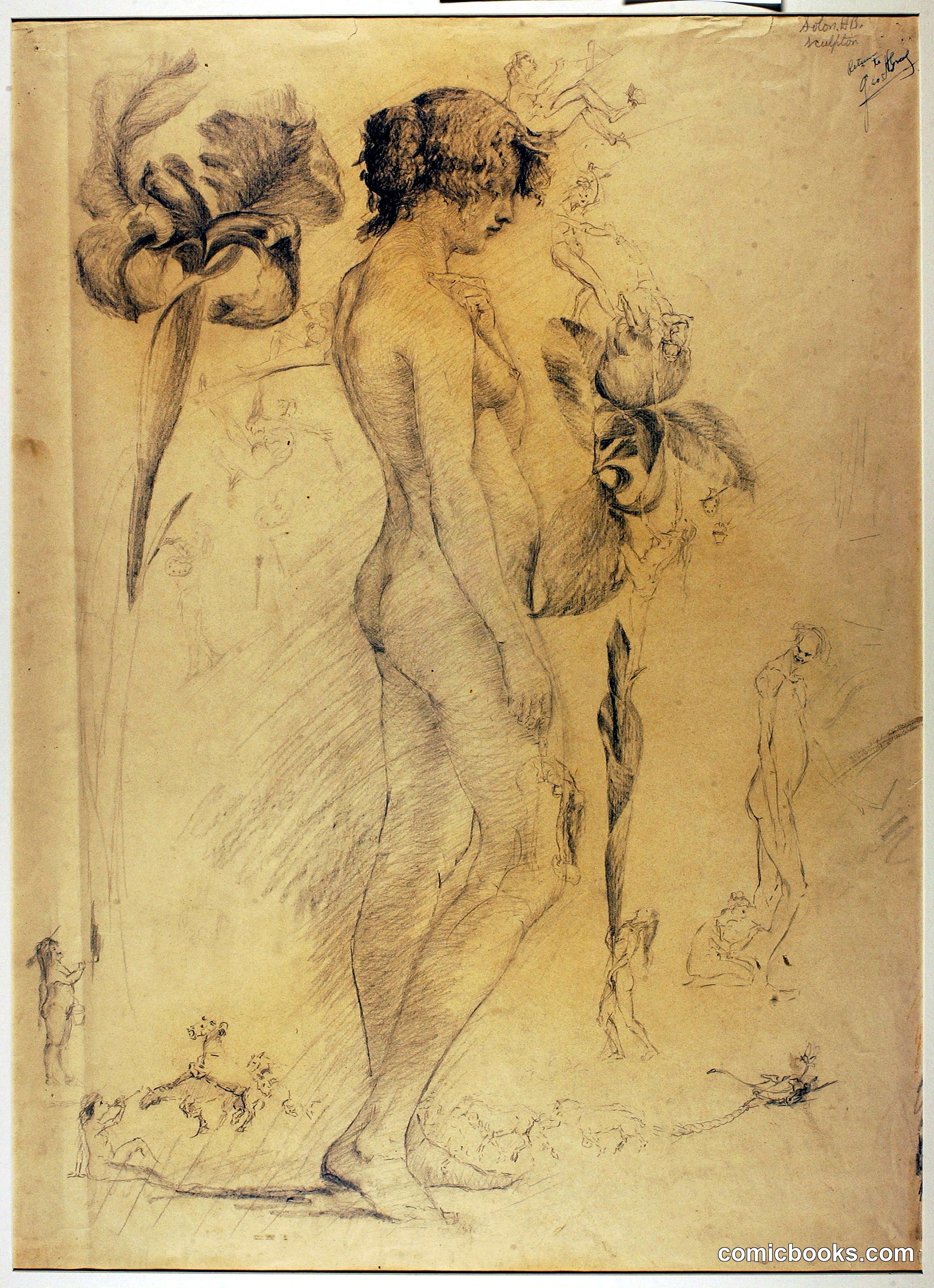 Female Nude Study
