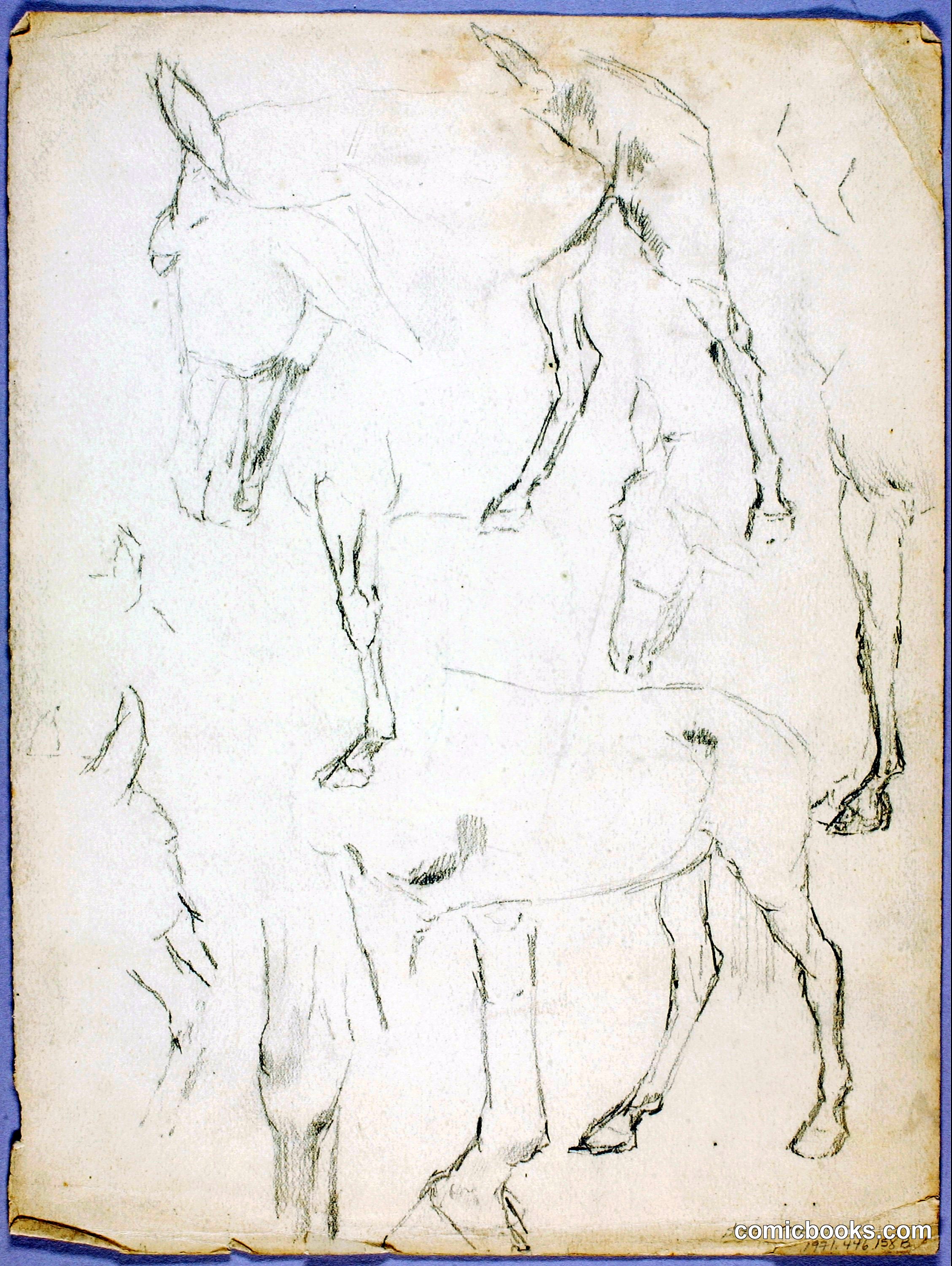 Horse Studies