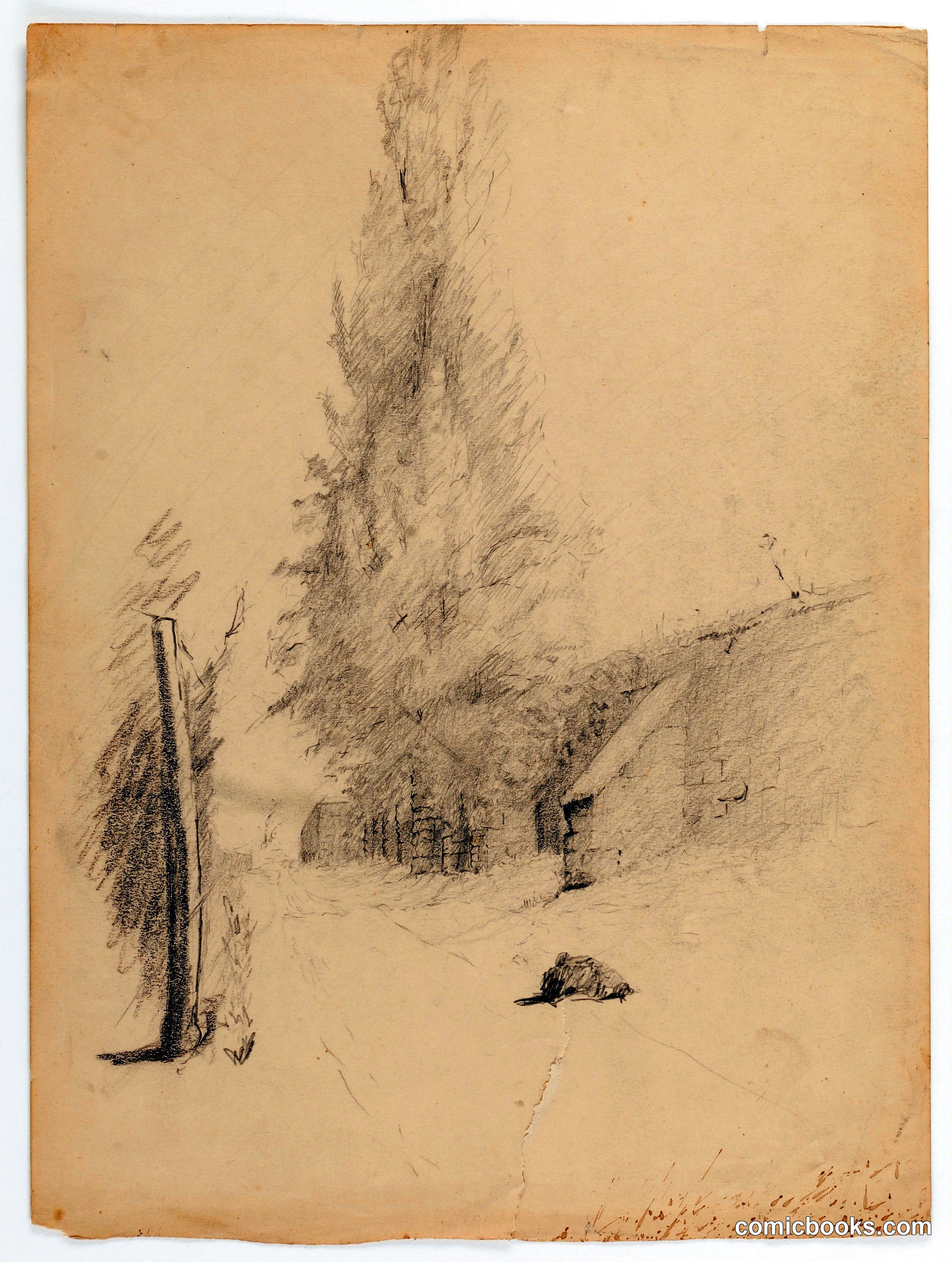 Landscape