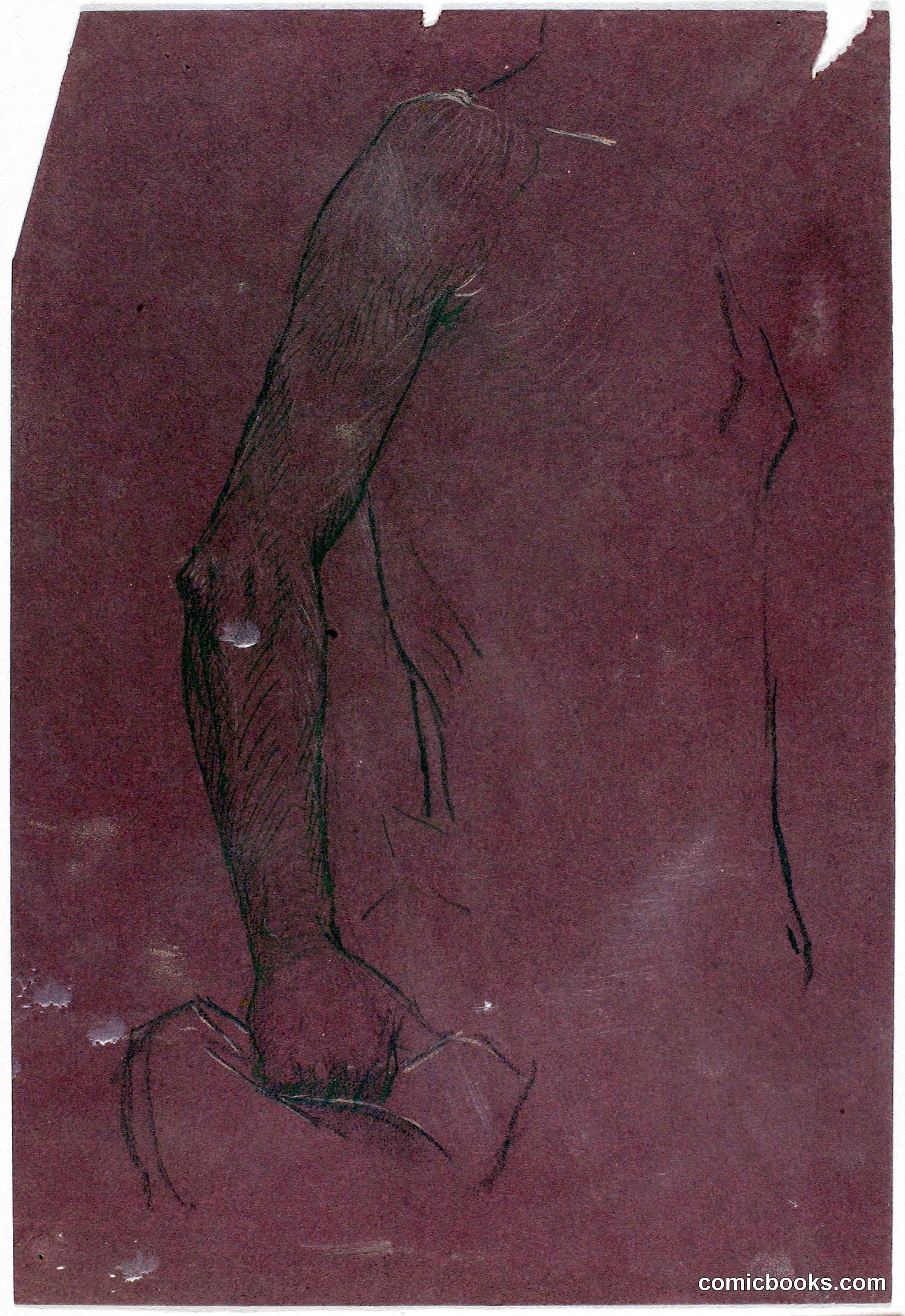 Torso, Study for Equestrian Monument