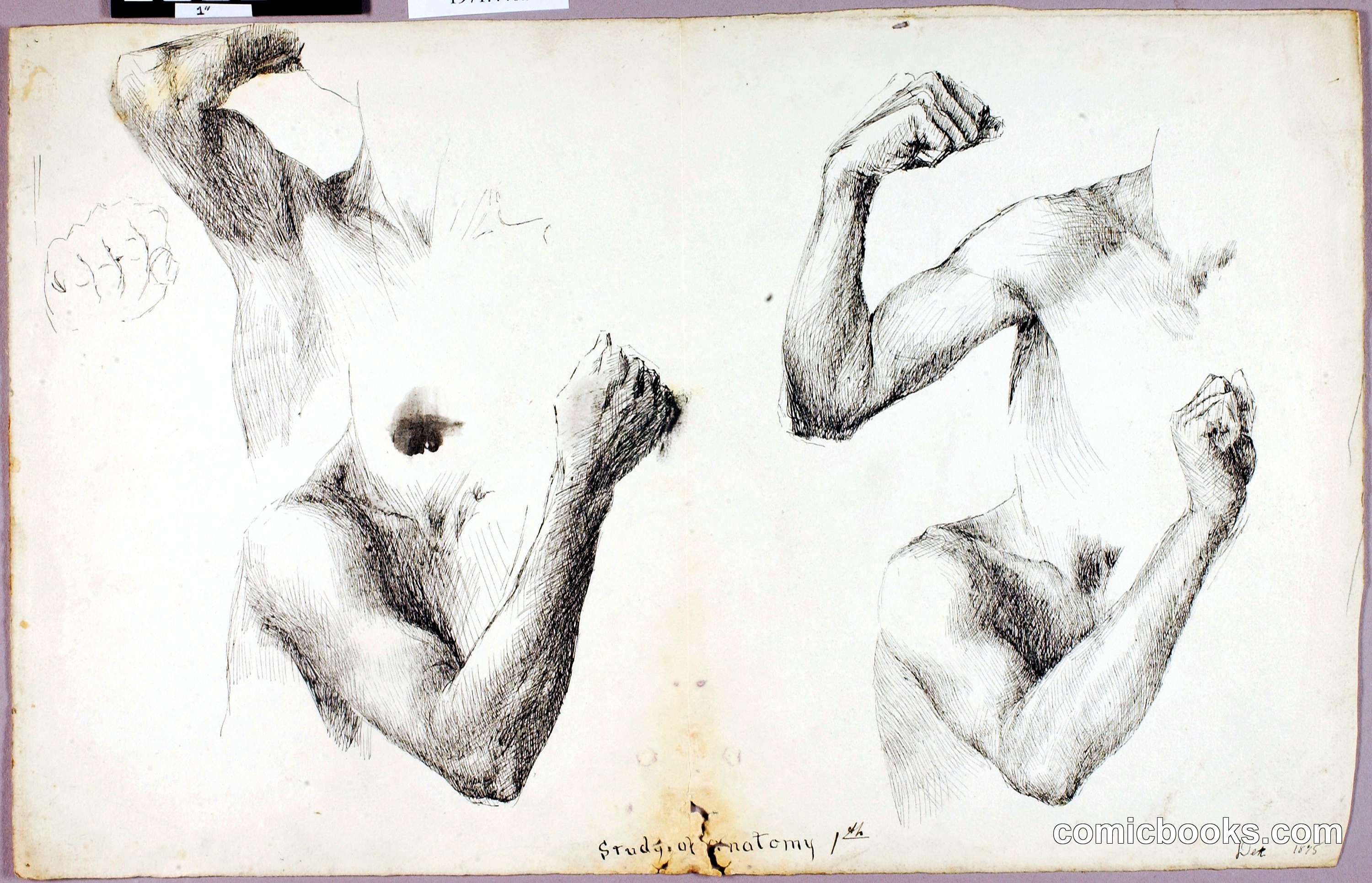 Four Arm Studies