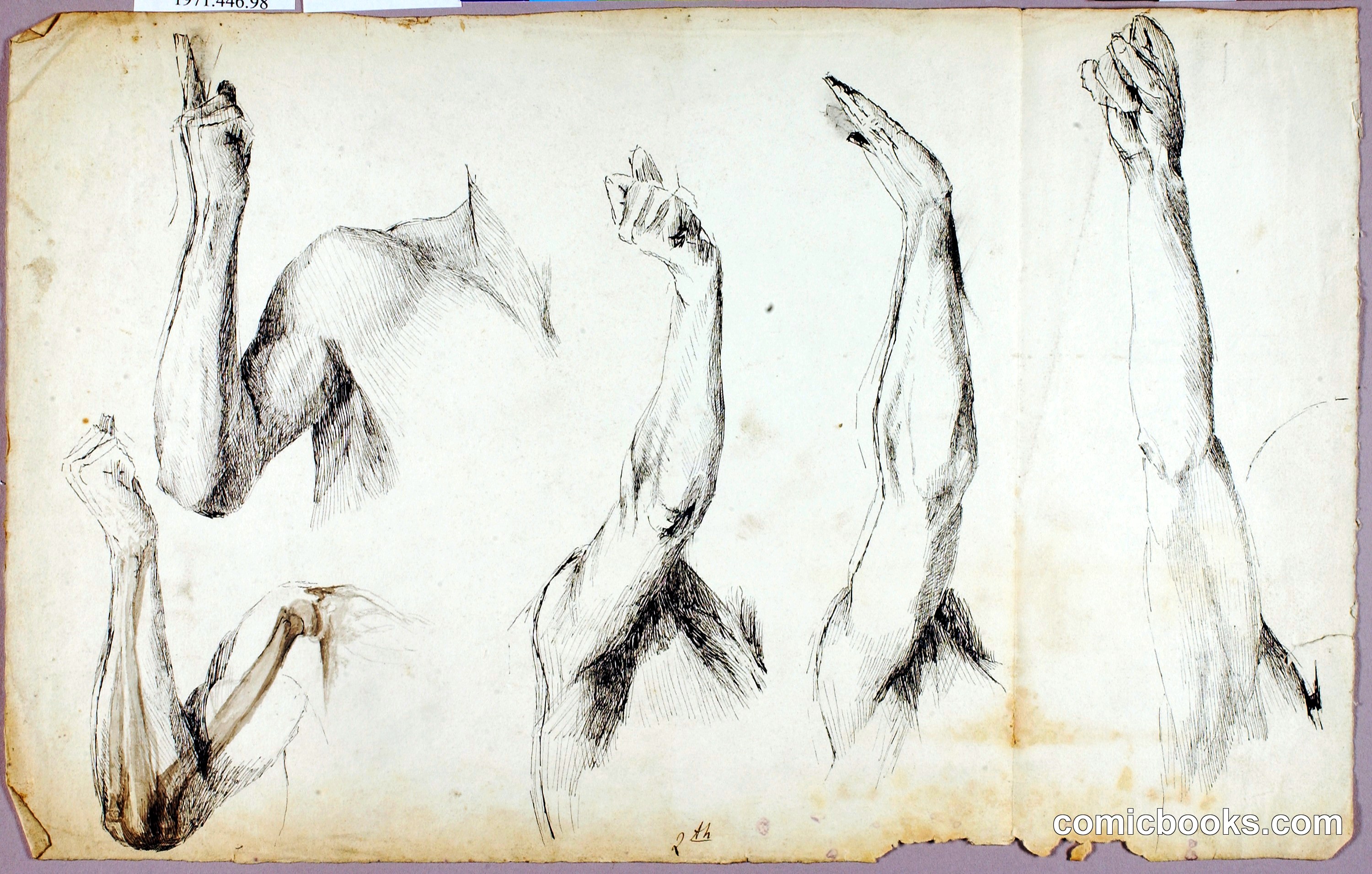 Arm Studies