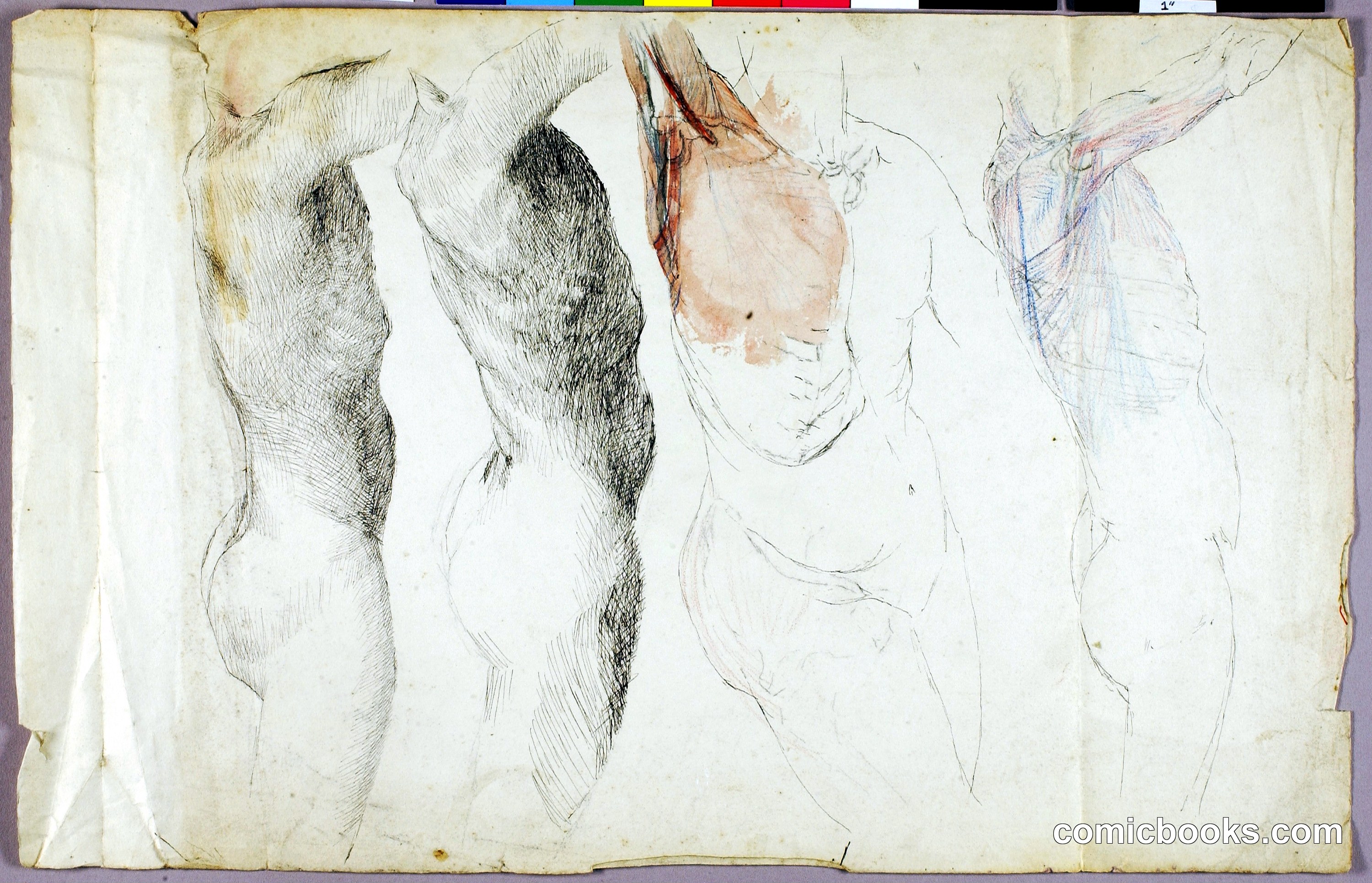 Nude Studies