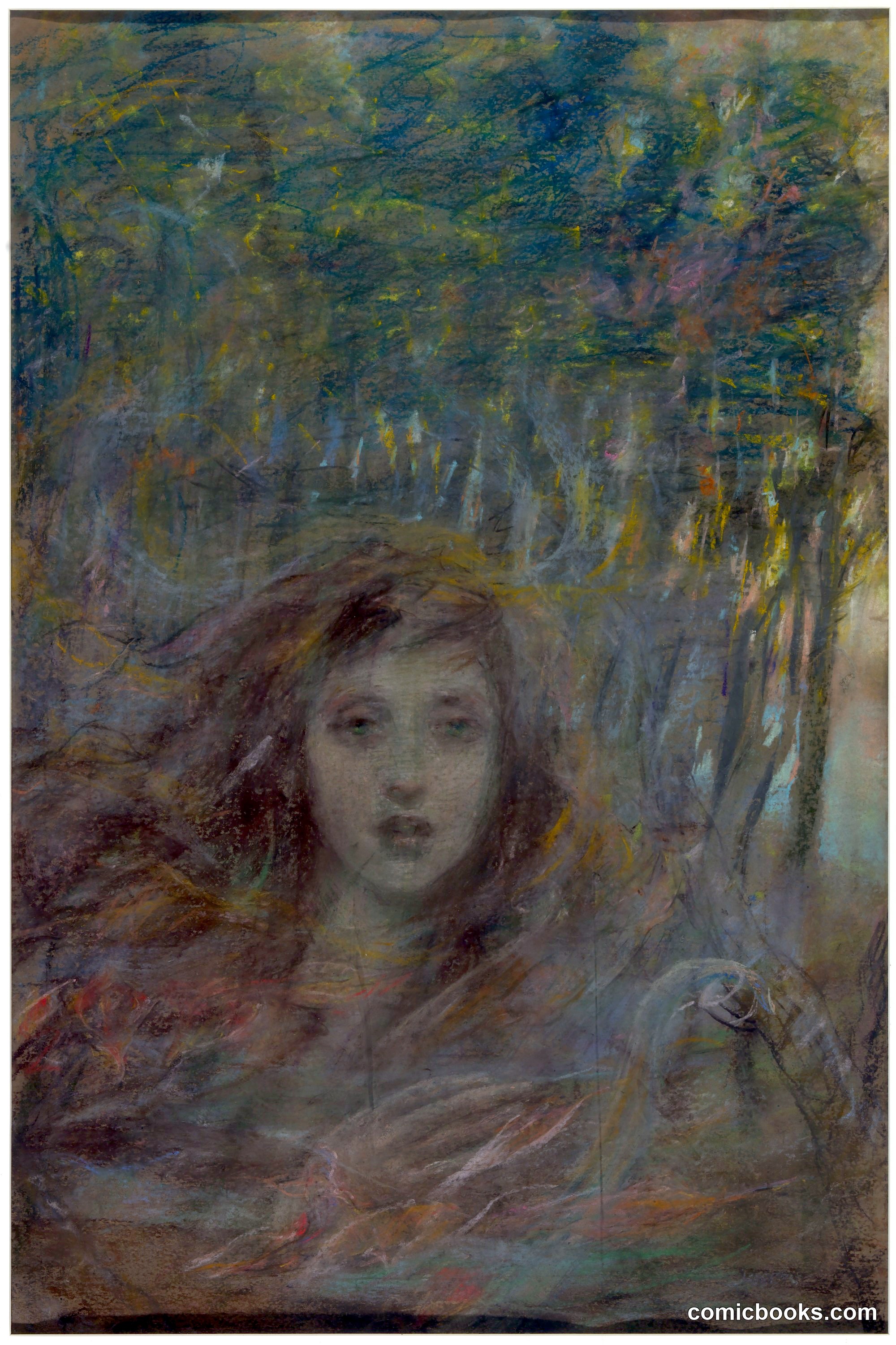 Vision through Woods