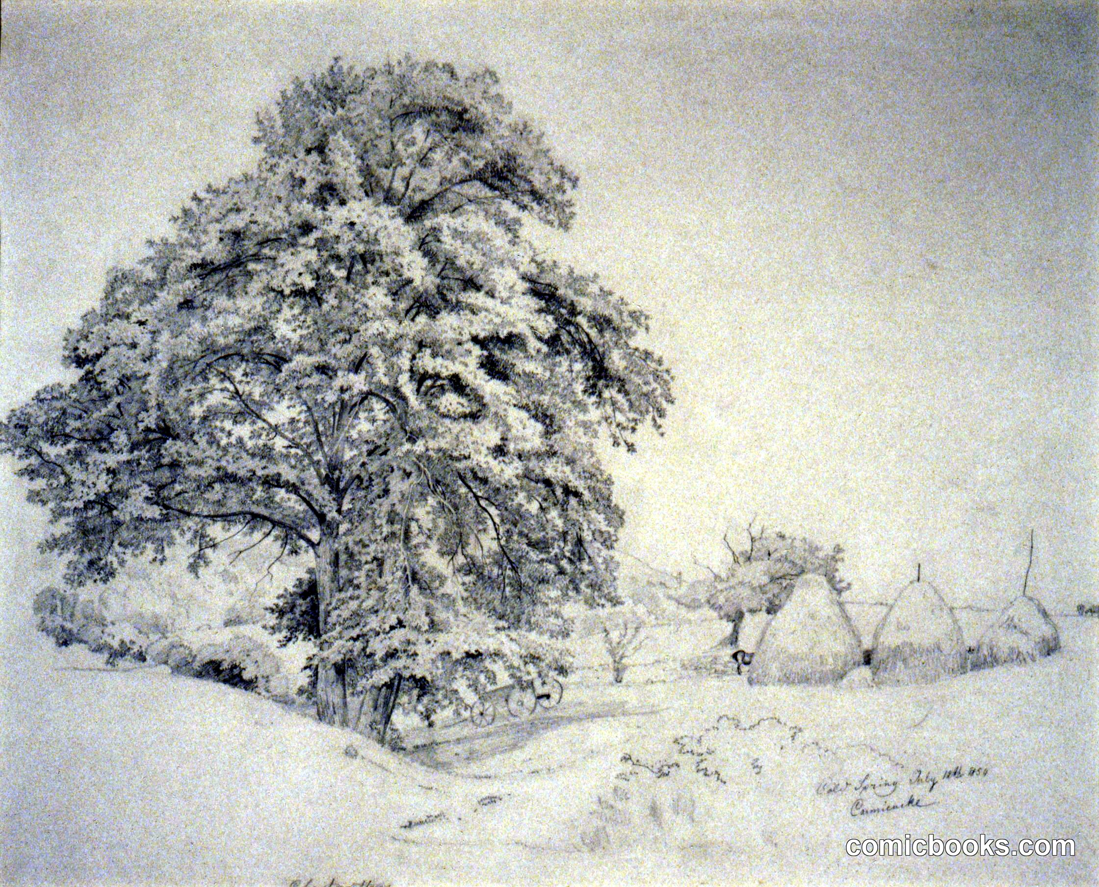 Cold Spring