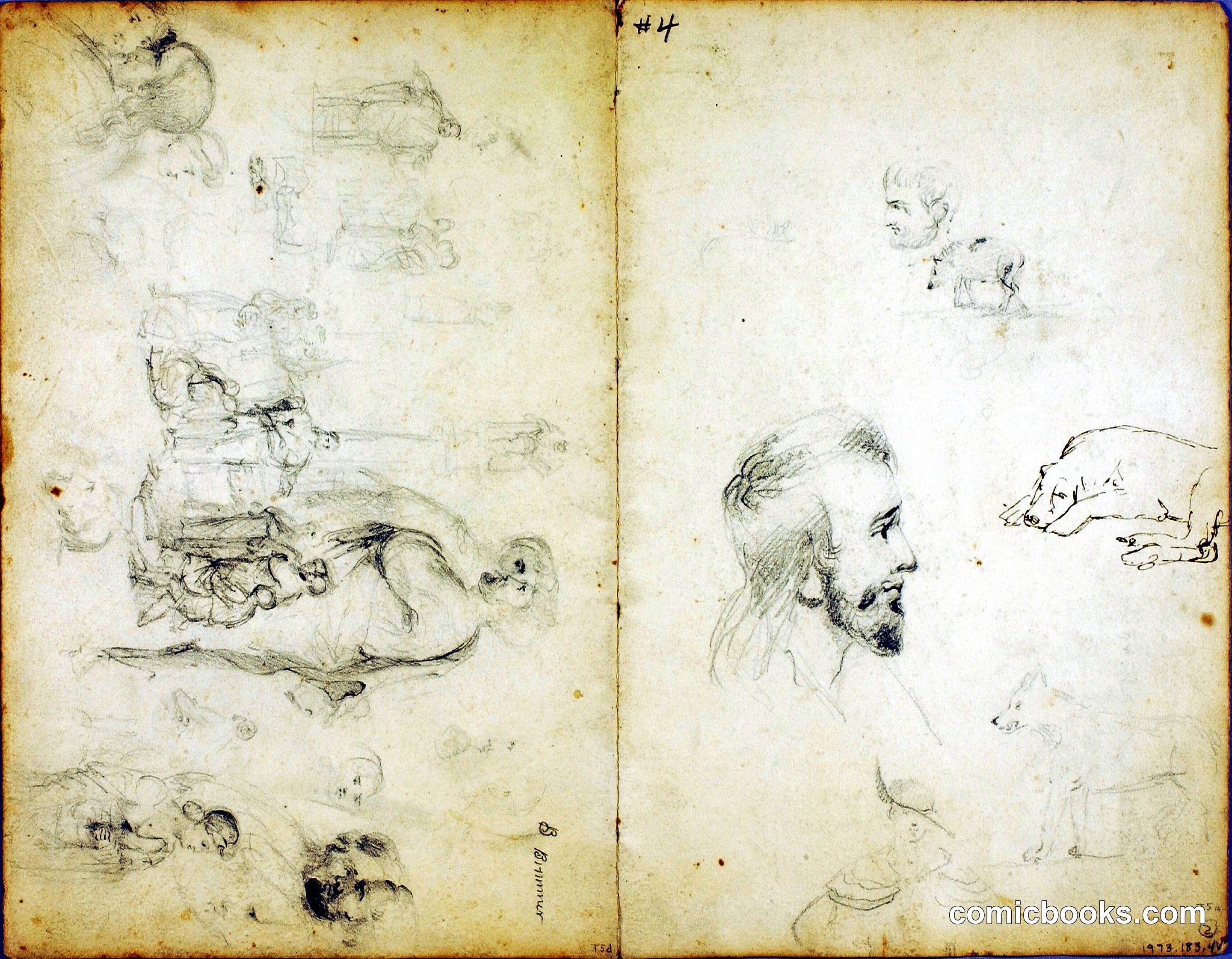 Studies