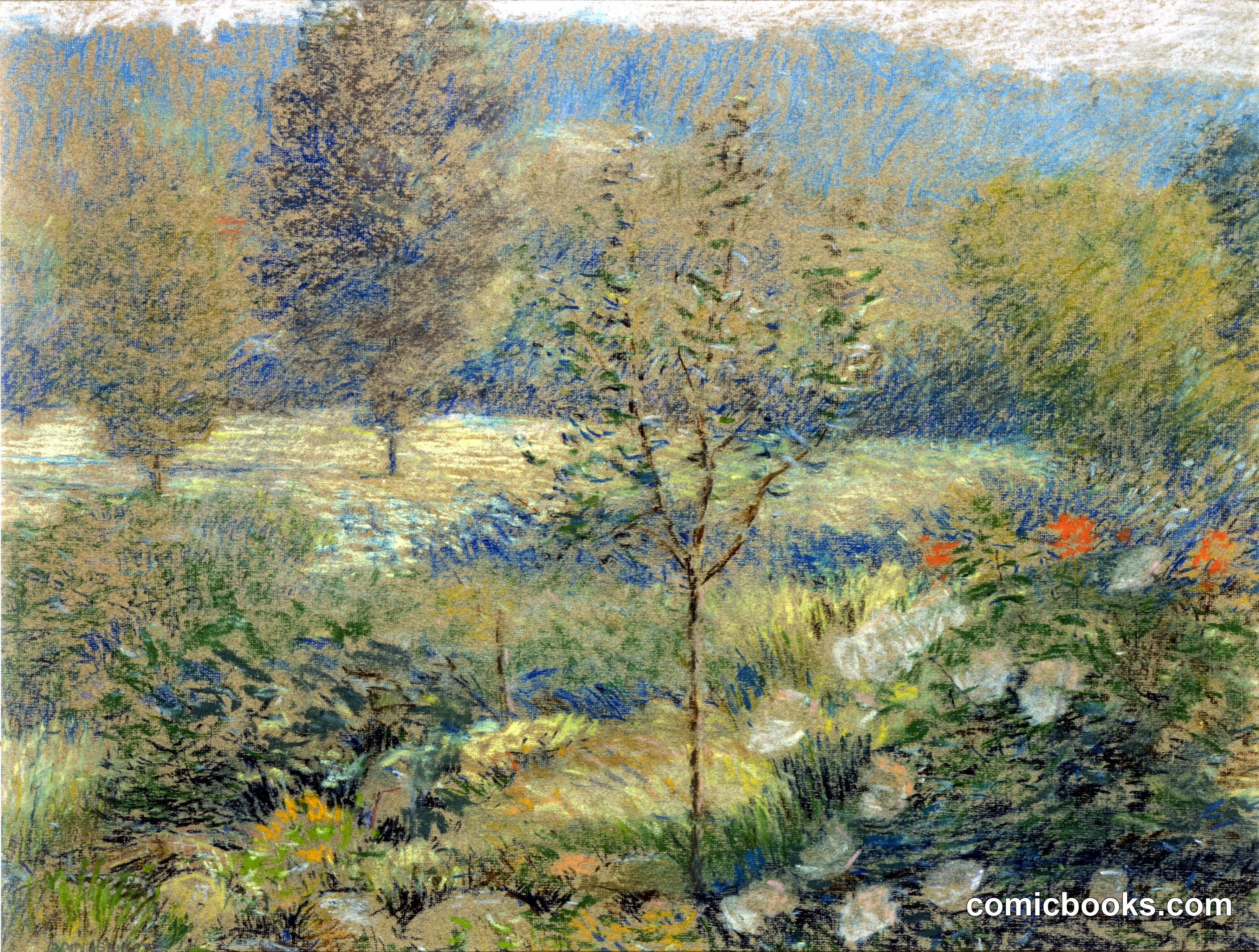 A Corner of the Garden