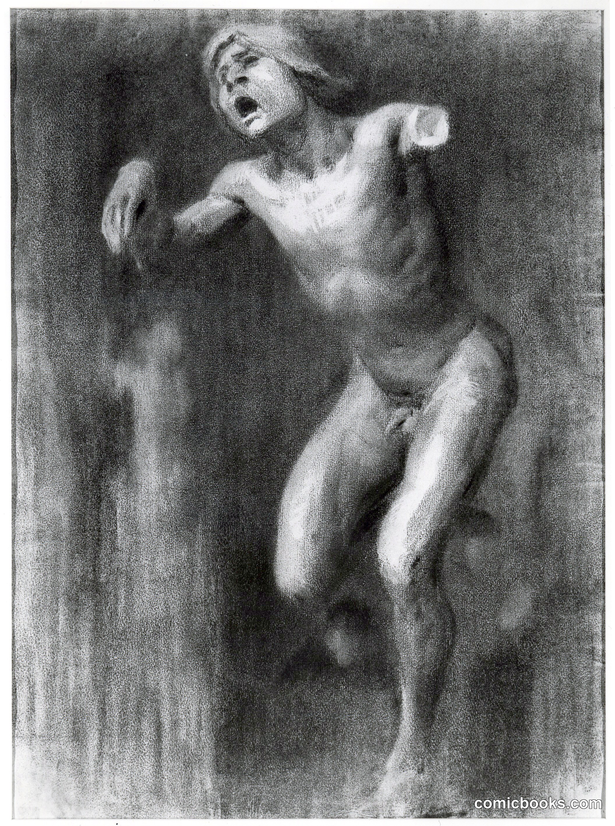 Plaster Cast