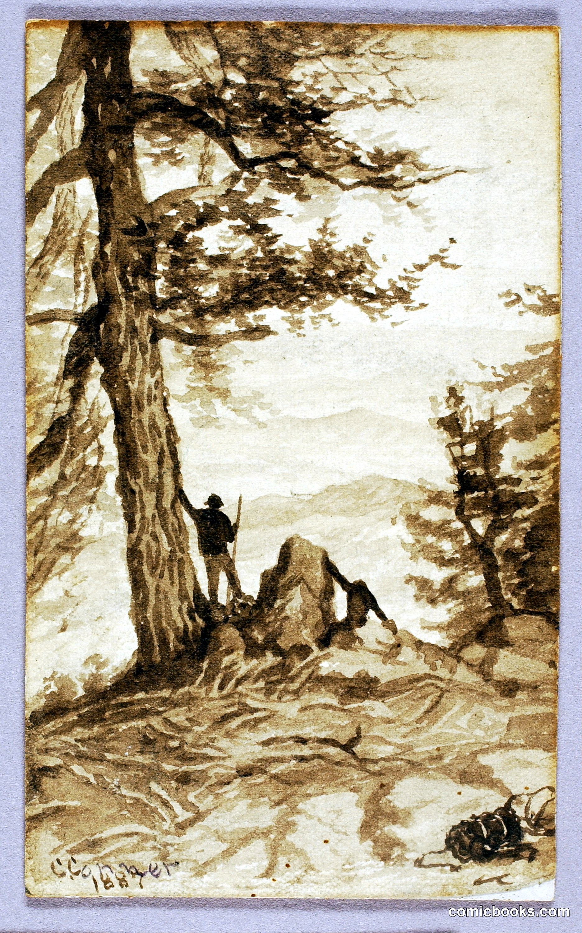 Wilderness Sketch