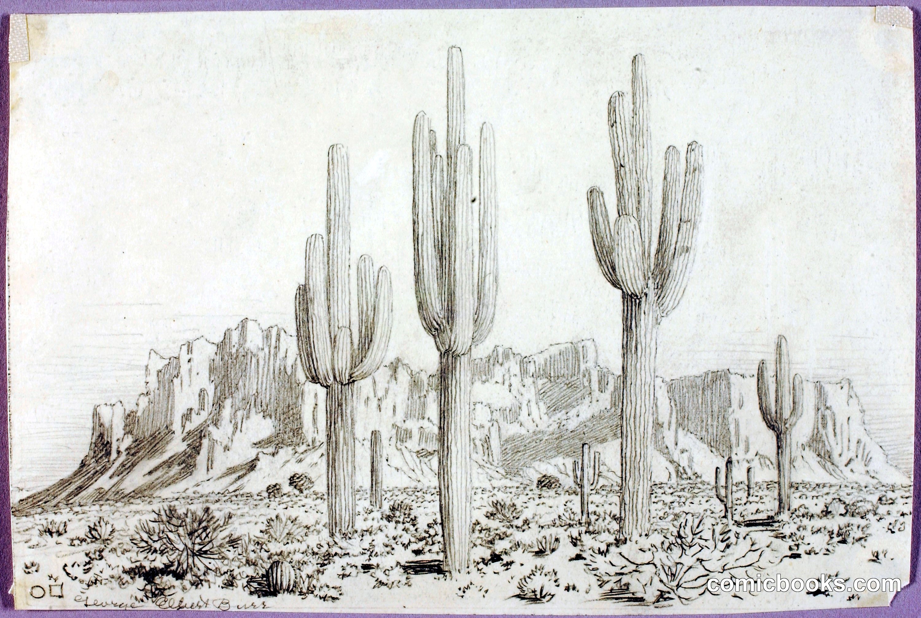 Desert Landscape with Saguaro Cacti