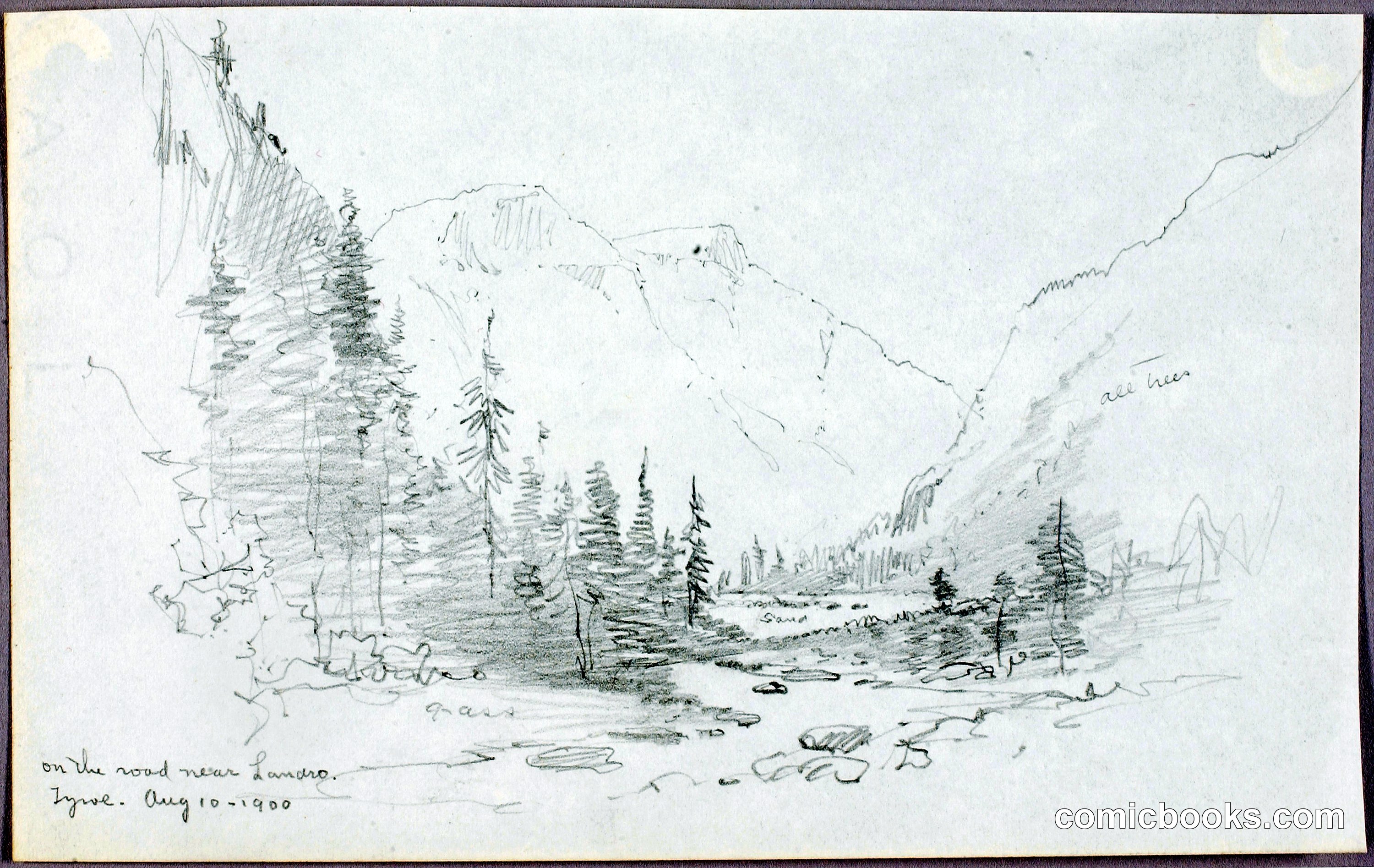 On the Road near Landro, Tyrol