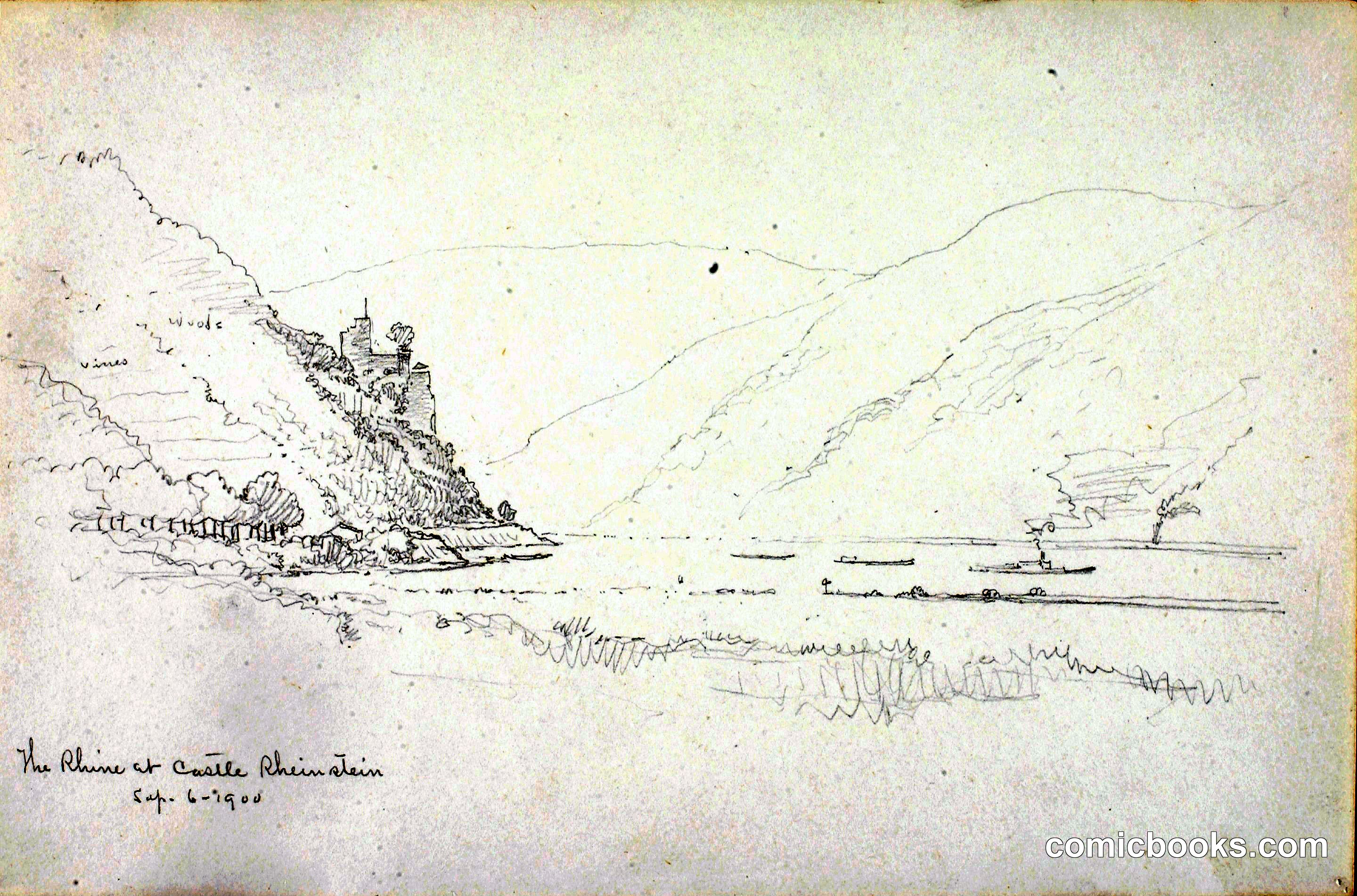 The Rhine at Castle Rheinstein