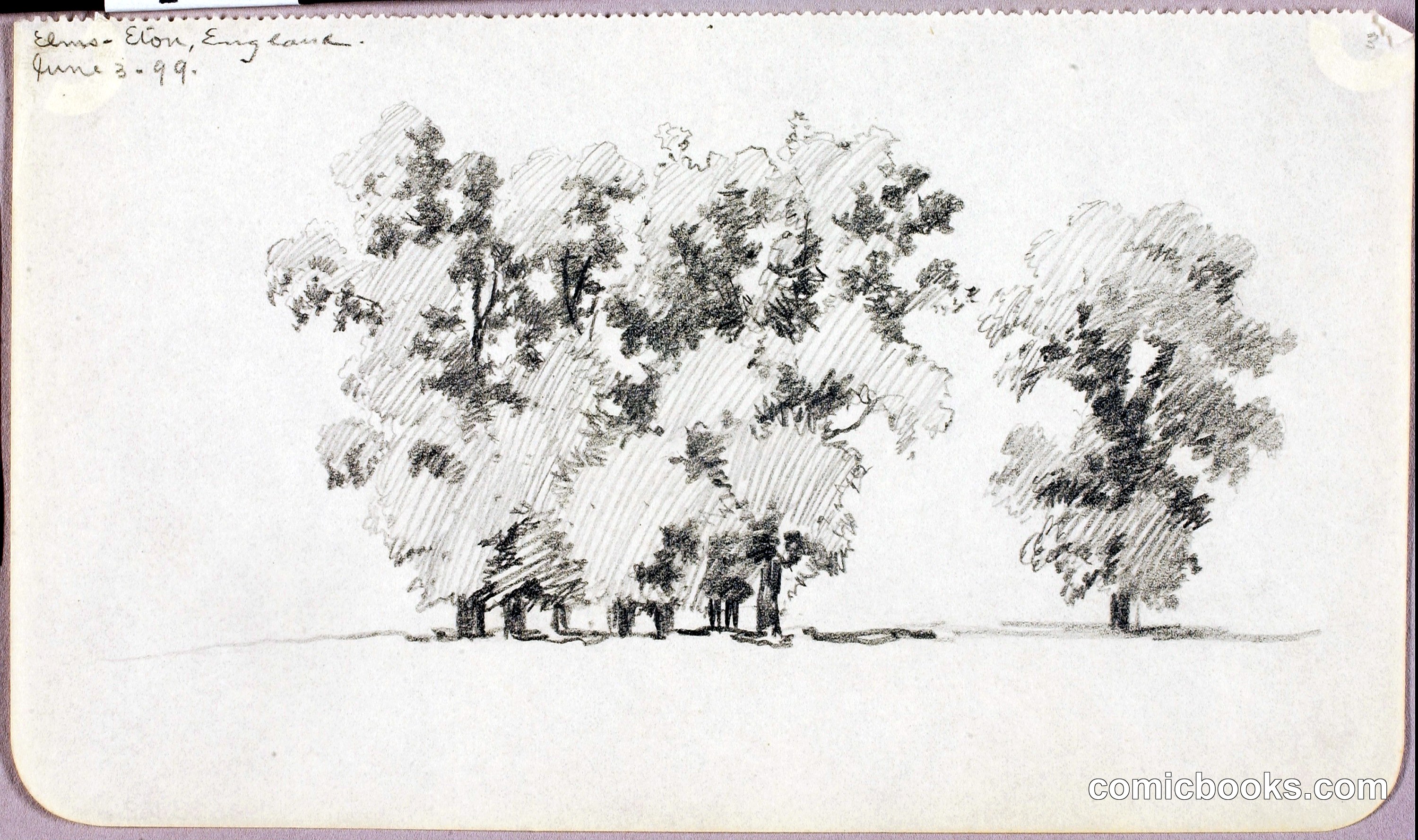 Elms—Eton, England