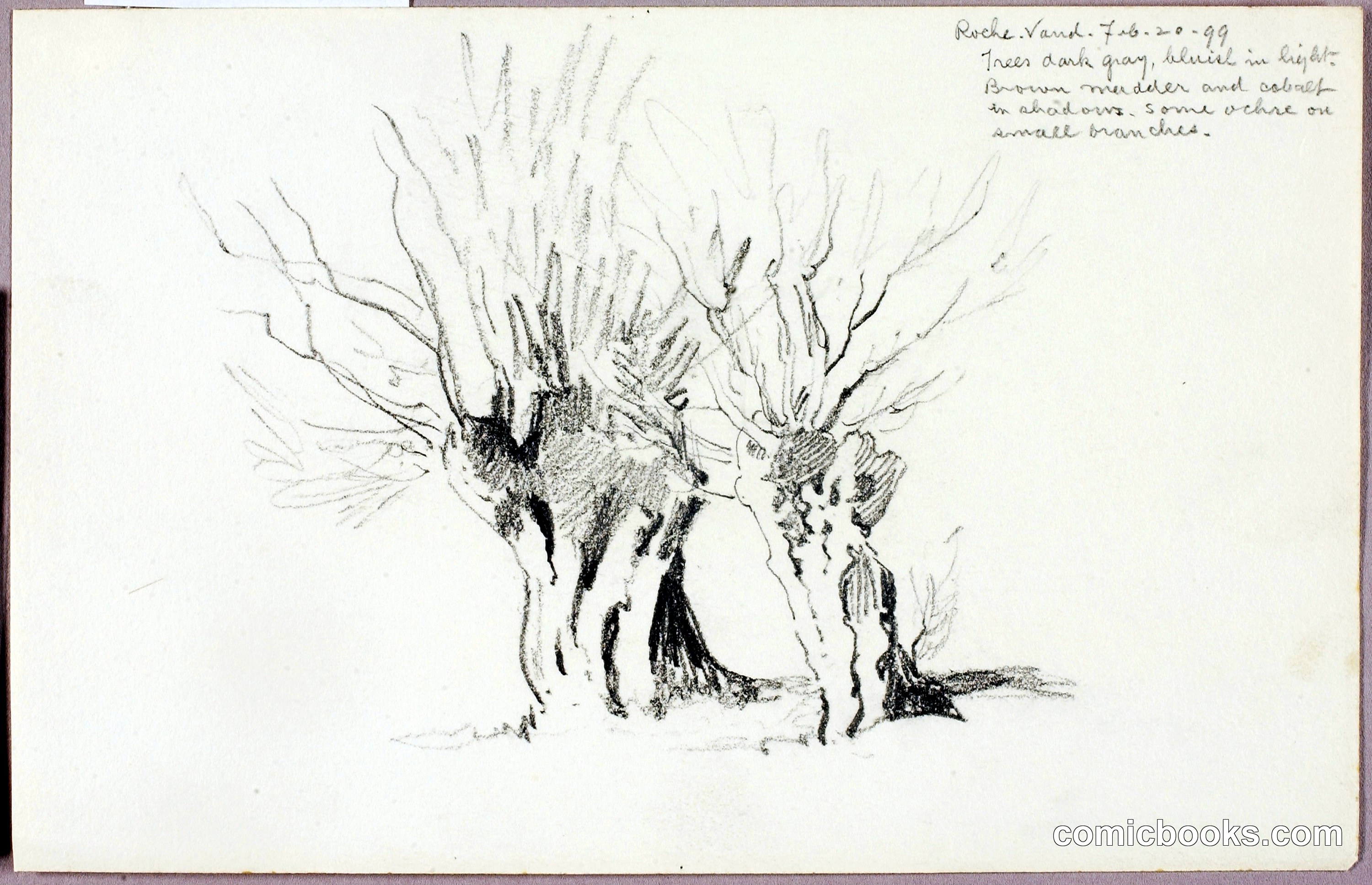 Two Trees, Rock Yard