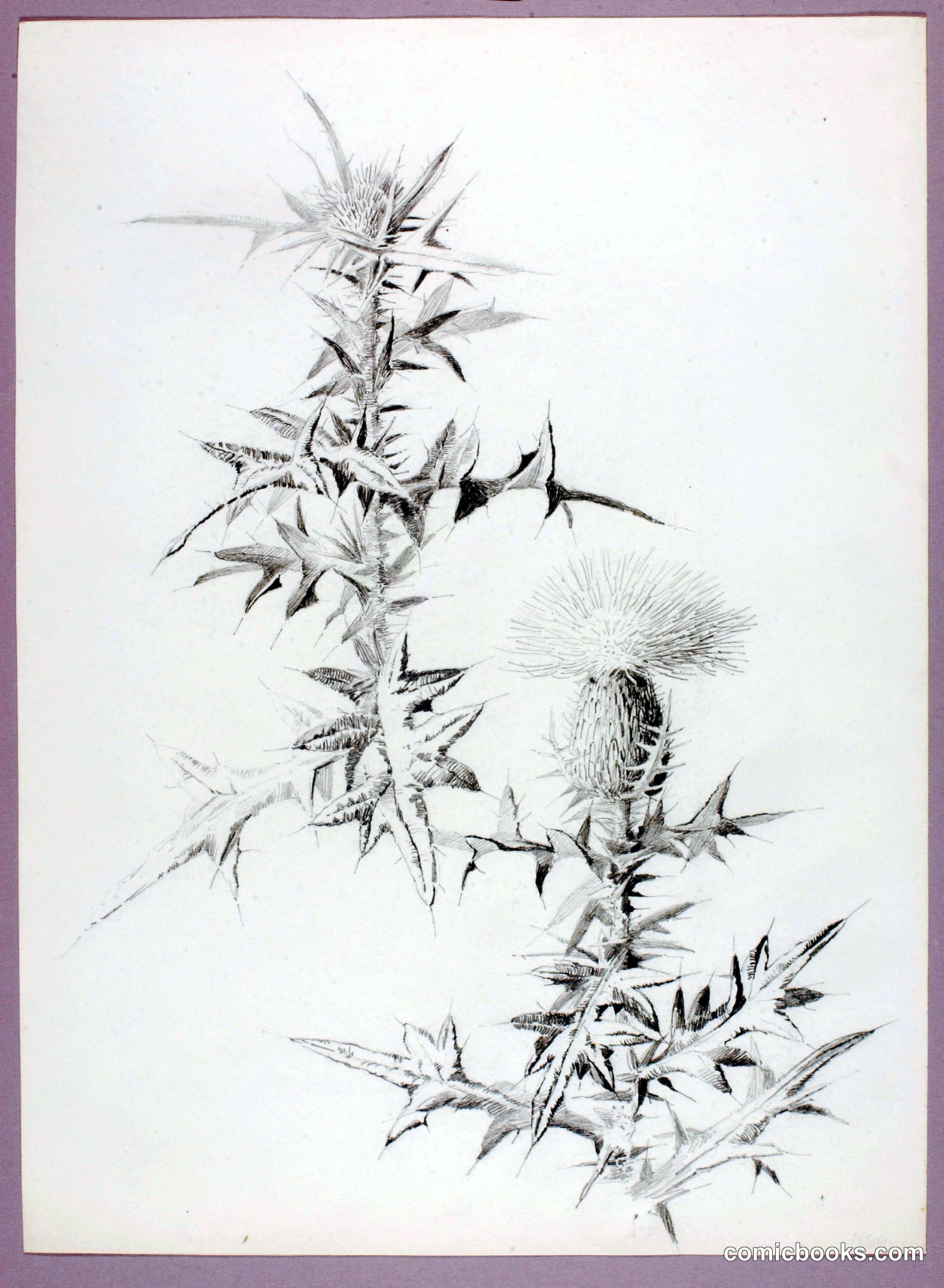 Untitled (Thistle)