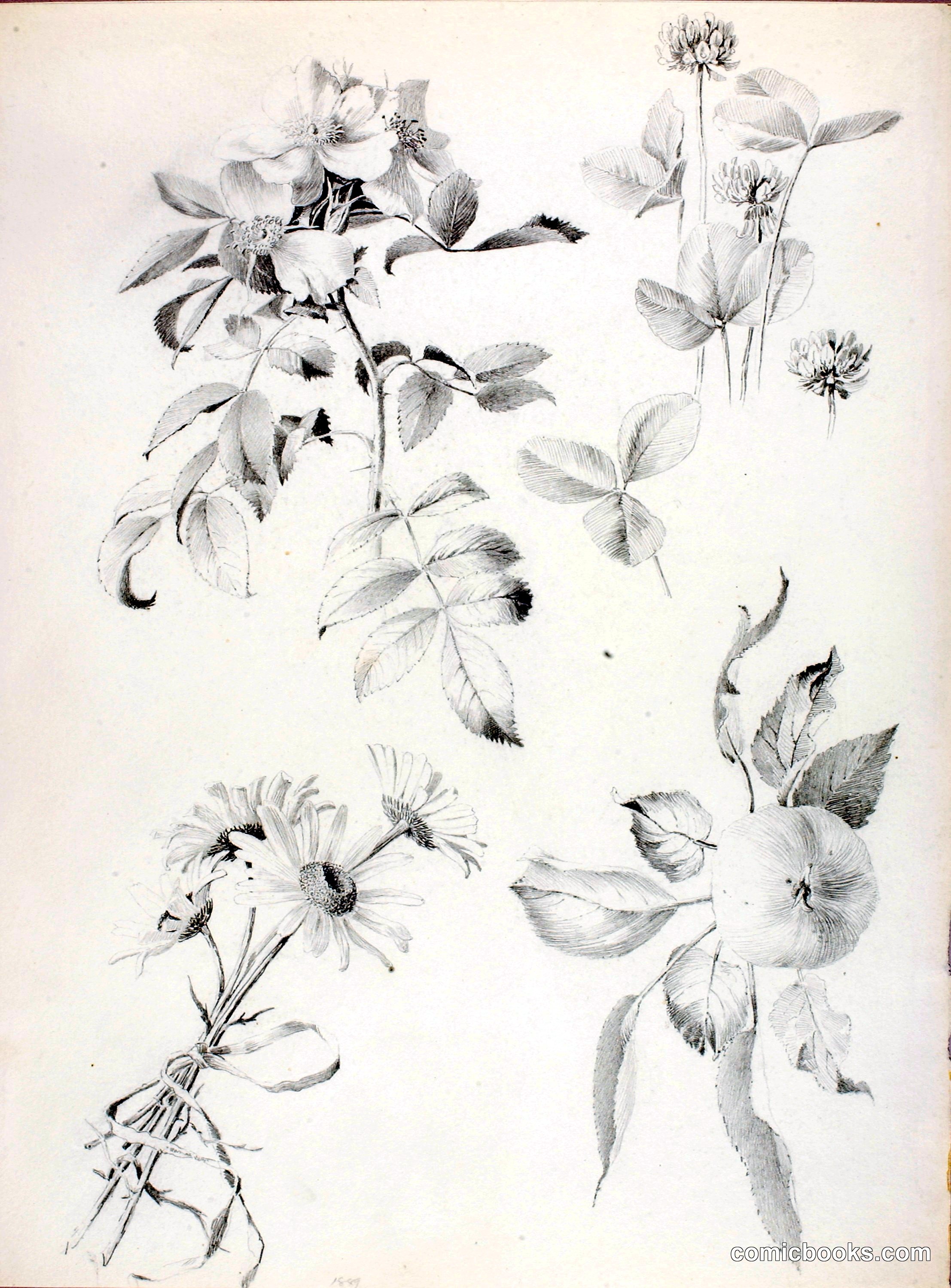 Botanical Studies