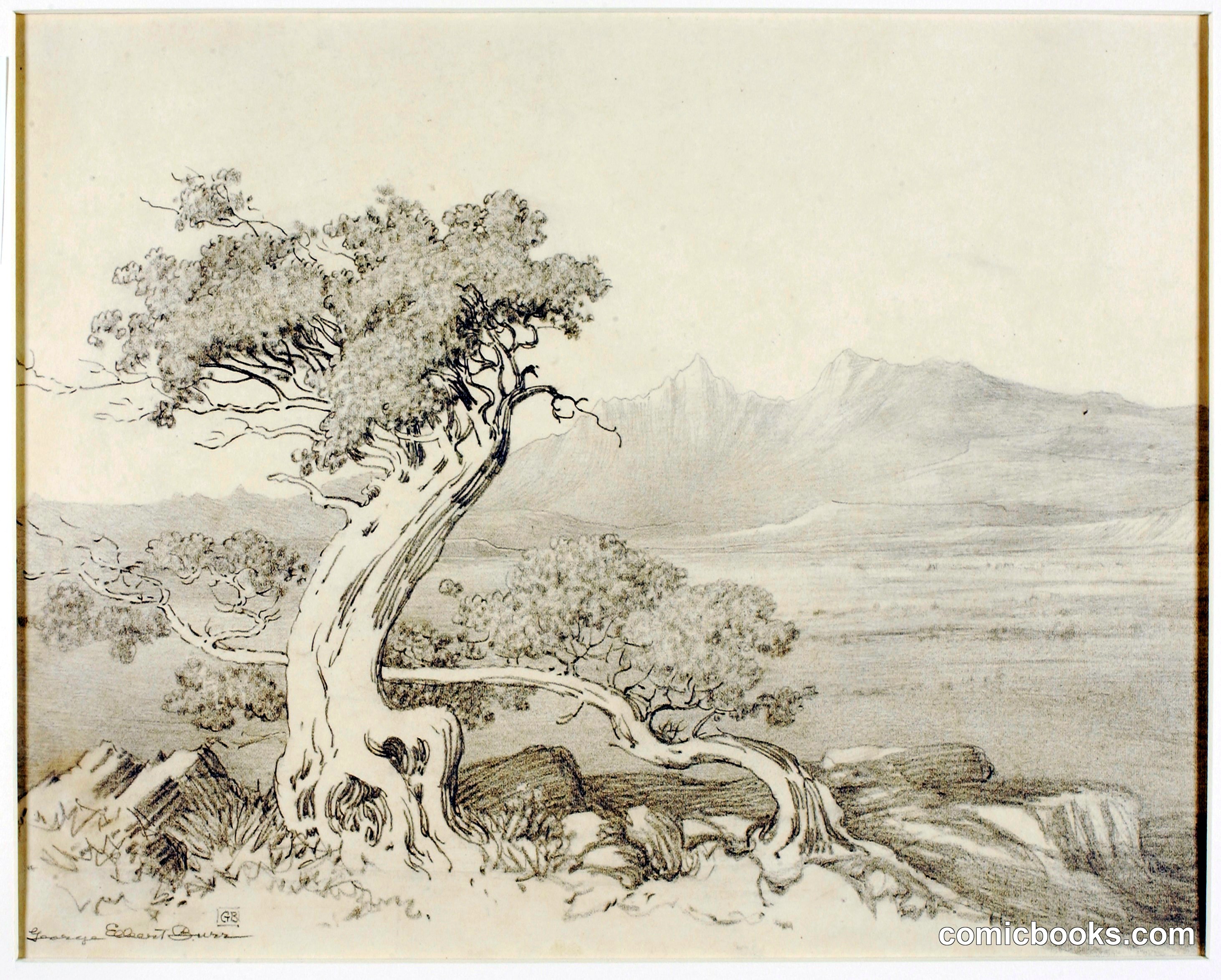 Untitled (Transfer Drawing for Old Cedars and Spanish Peaks)