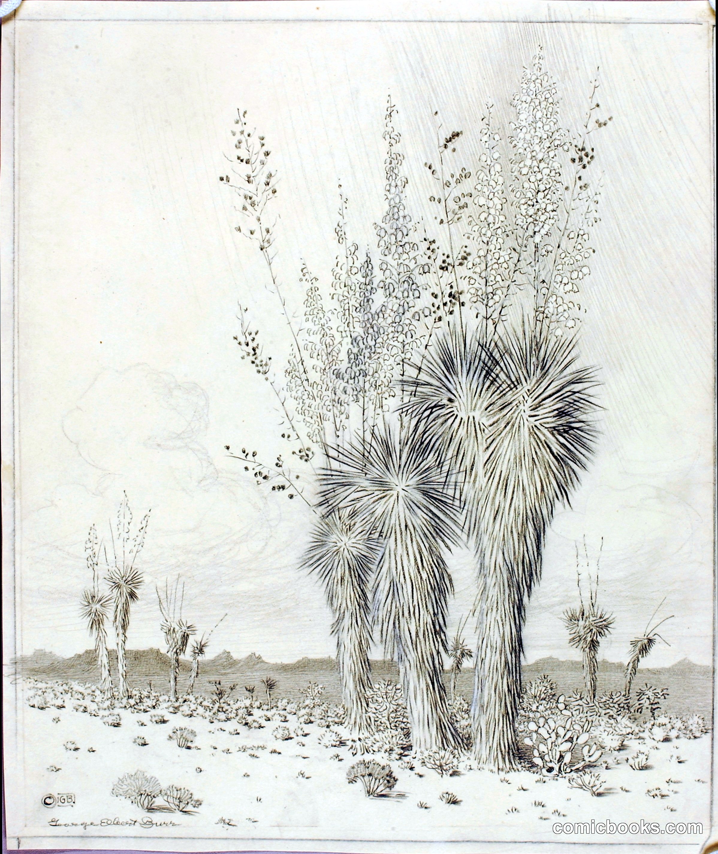 Untitled (Transfer Drawing for Springtime, Paradise Valley Arizona)