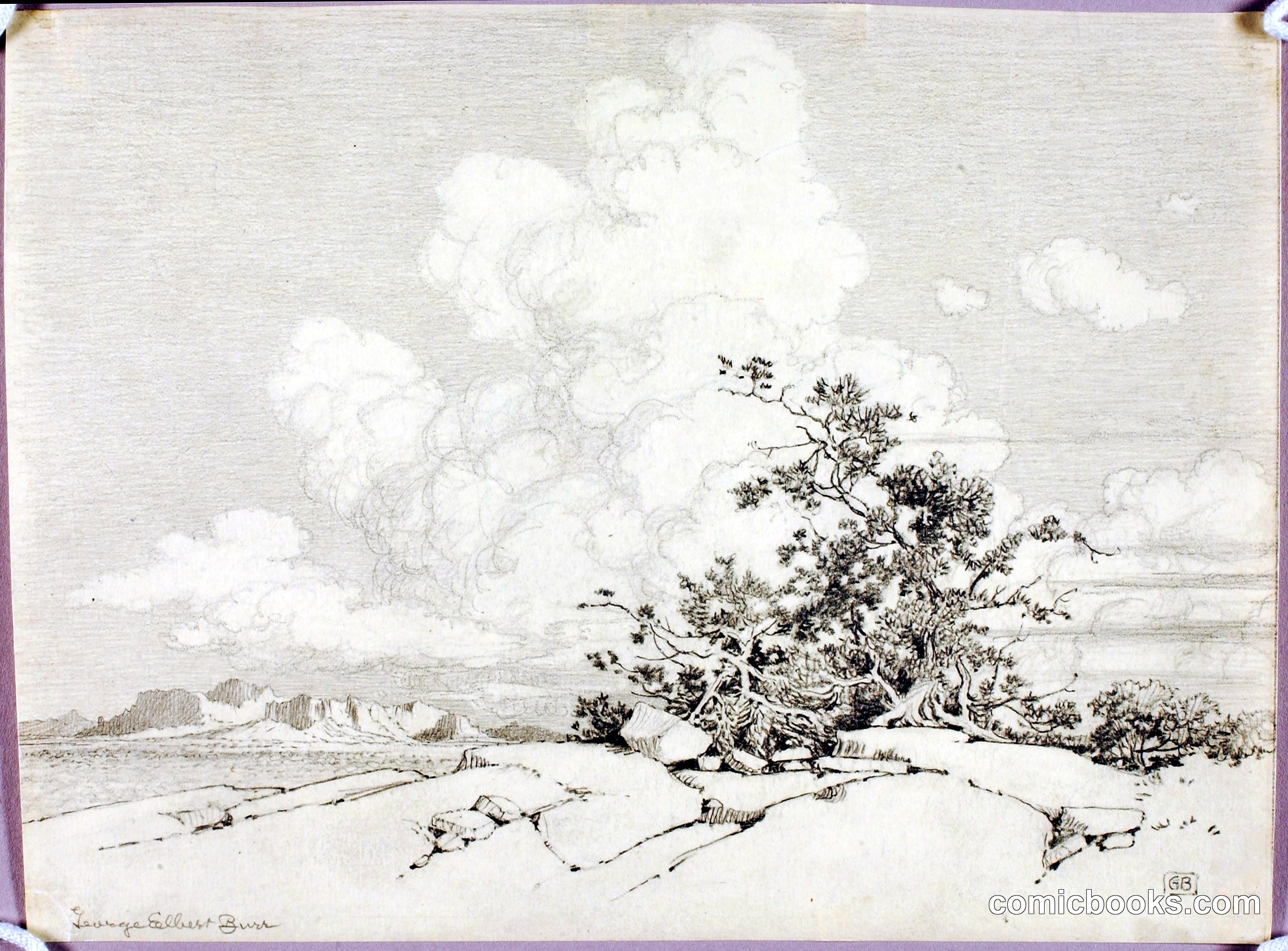 Landscape Study with Gnarled Tree