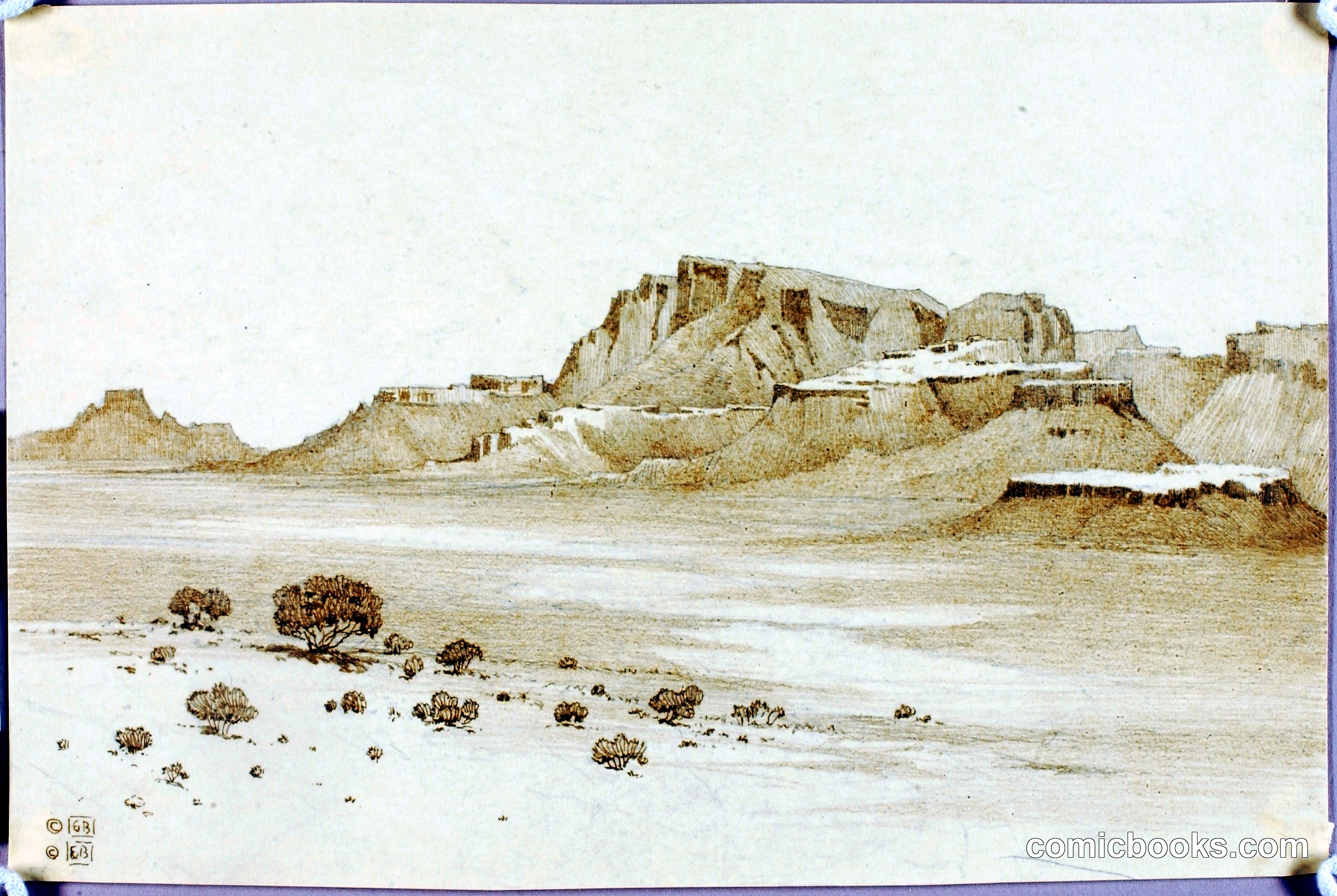 Desert Landscape