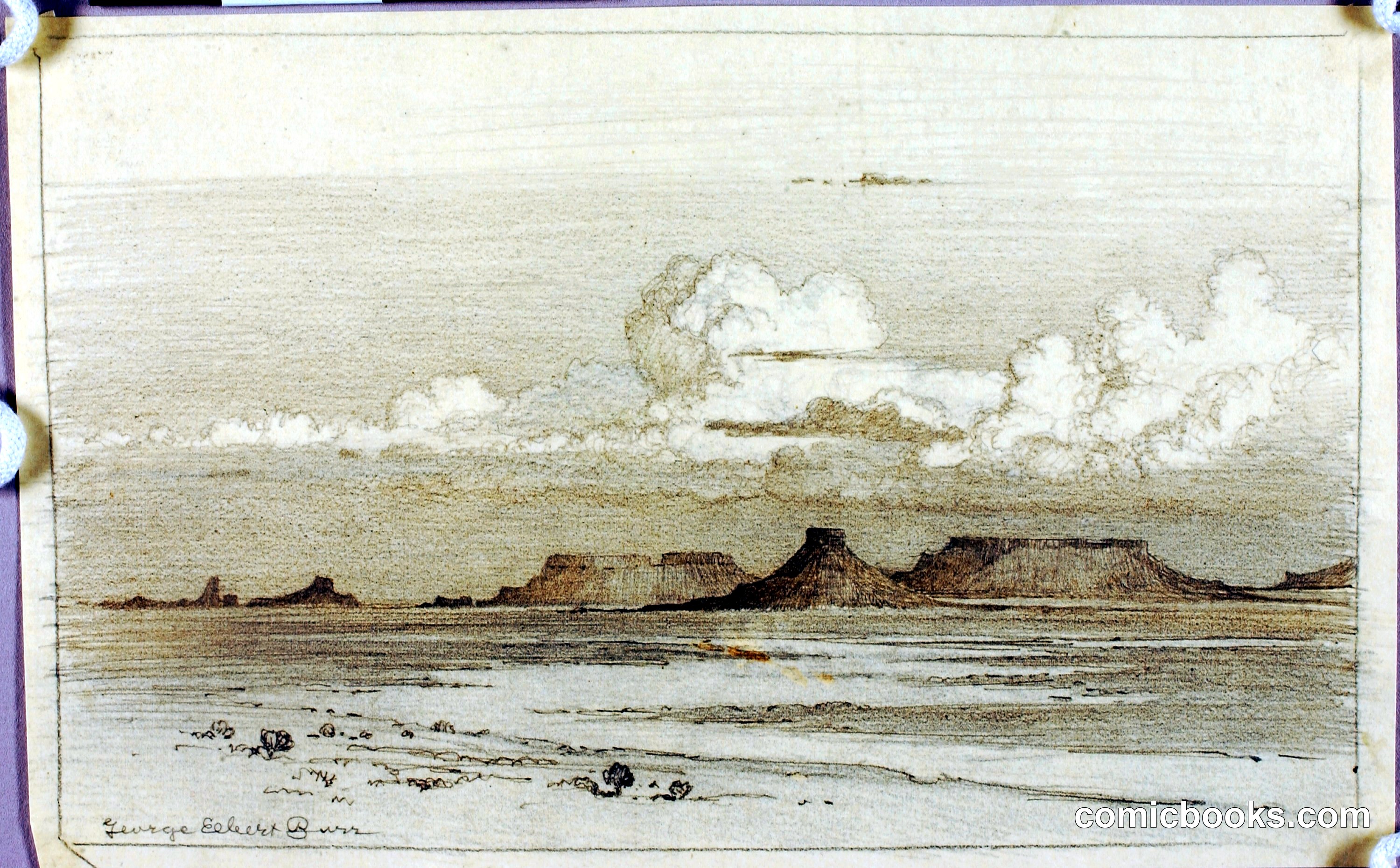 Landscape Study