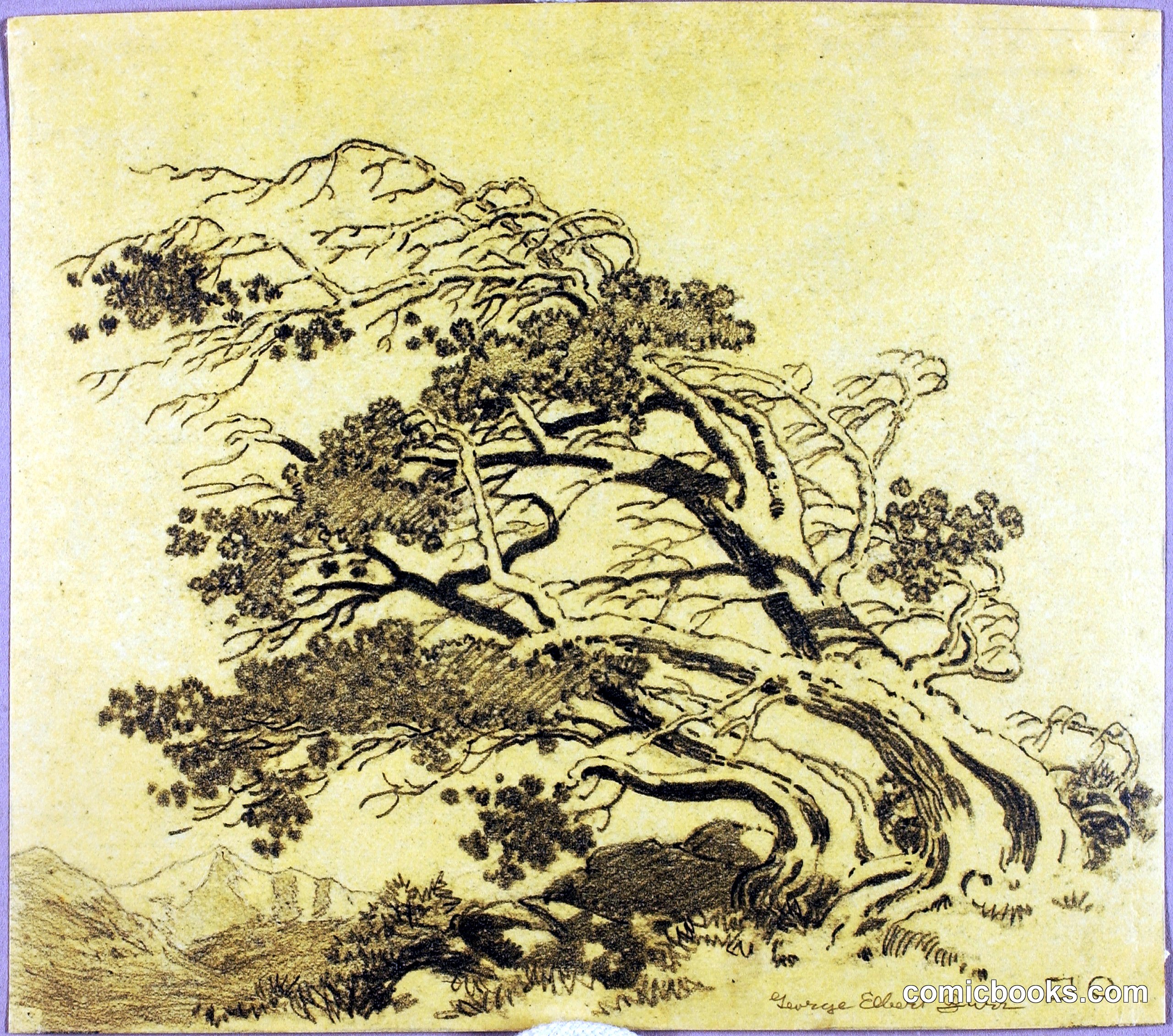 Untitled (Transfer Drawing for Pines in Wind, Estes Park)
