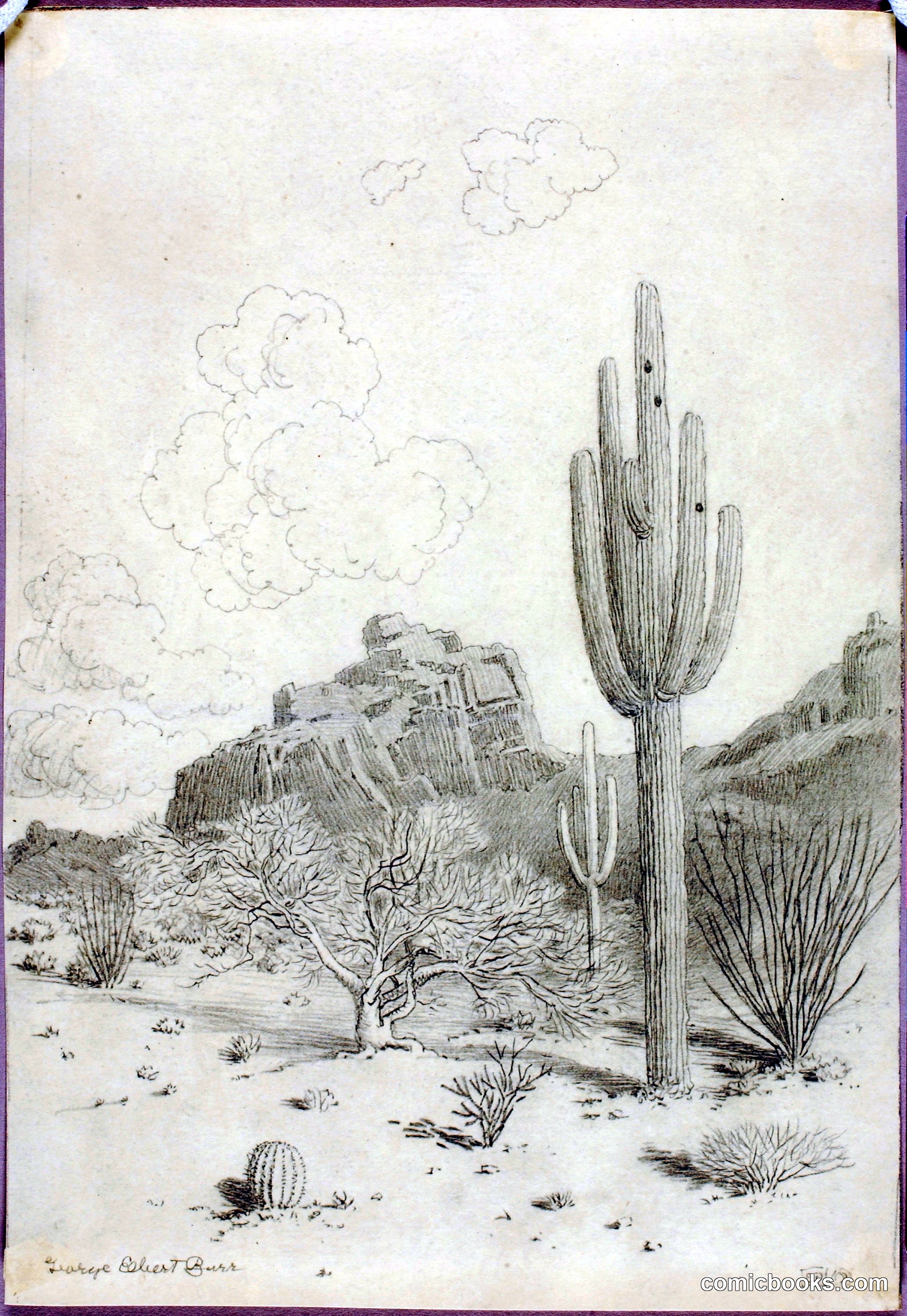 Desert Landscape with Saguaro Cactus