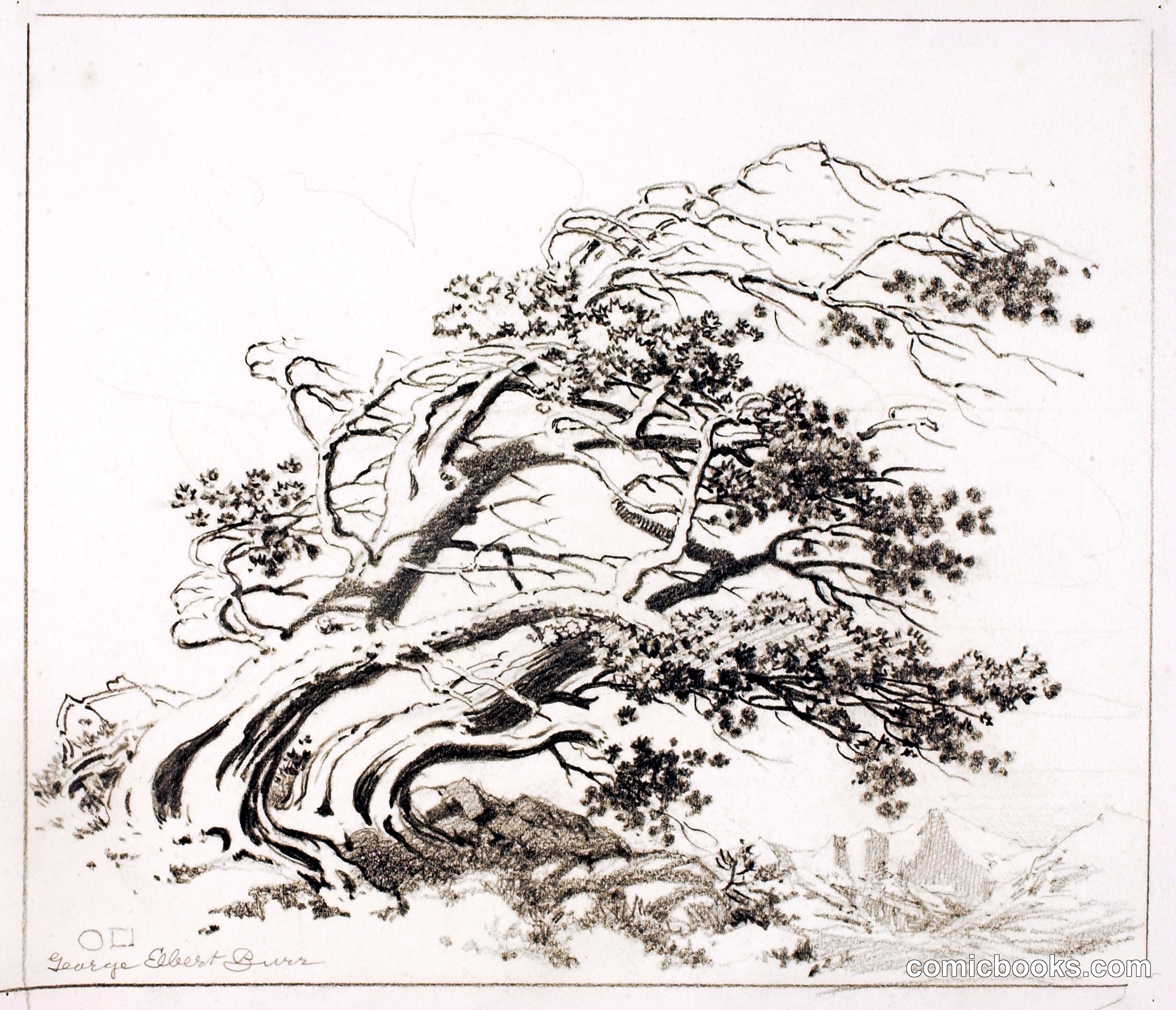 Sketch for Pines in Wind, Estes Park