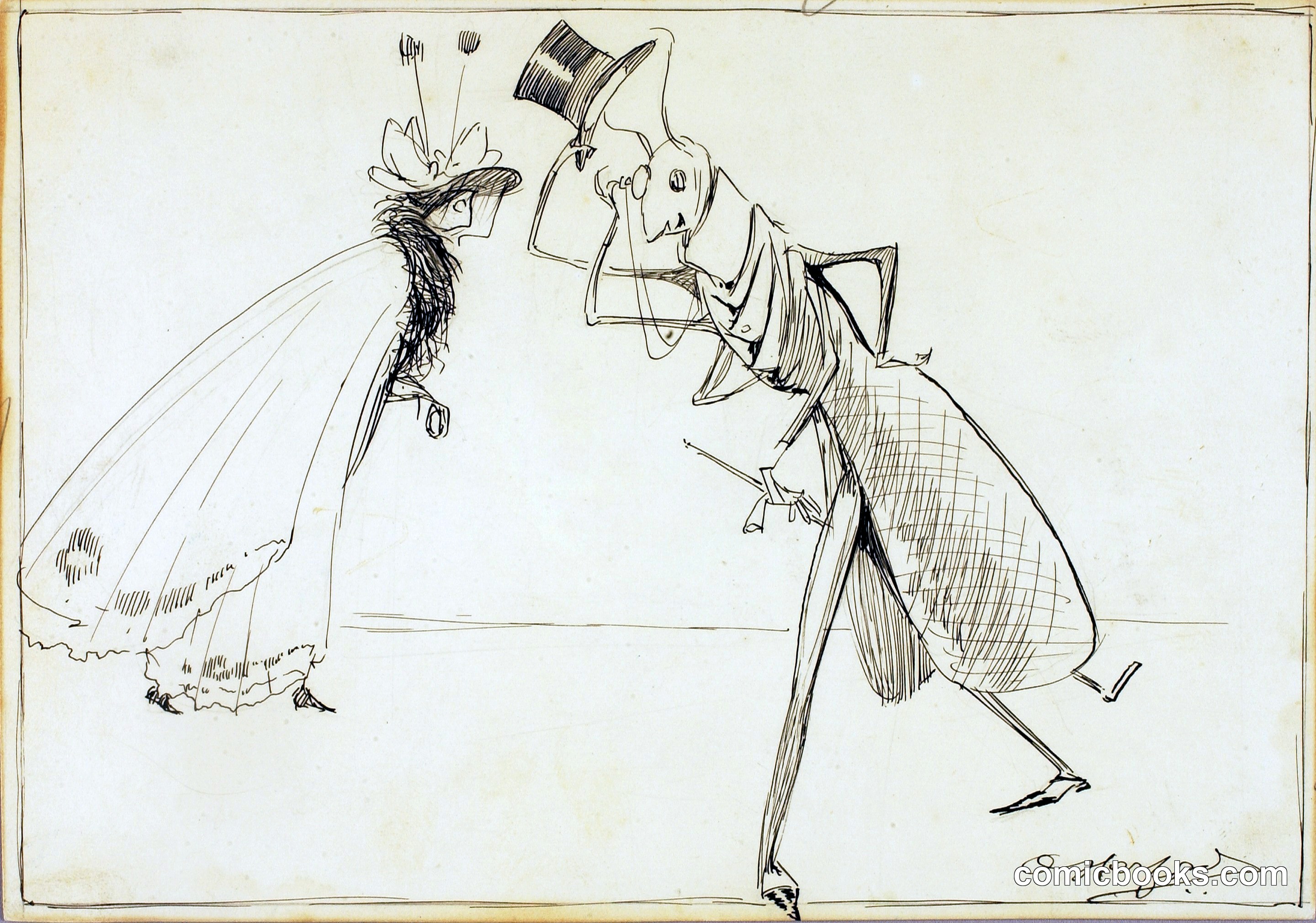 Insects