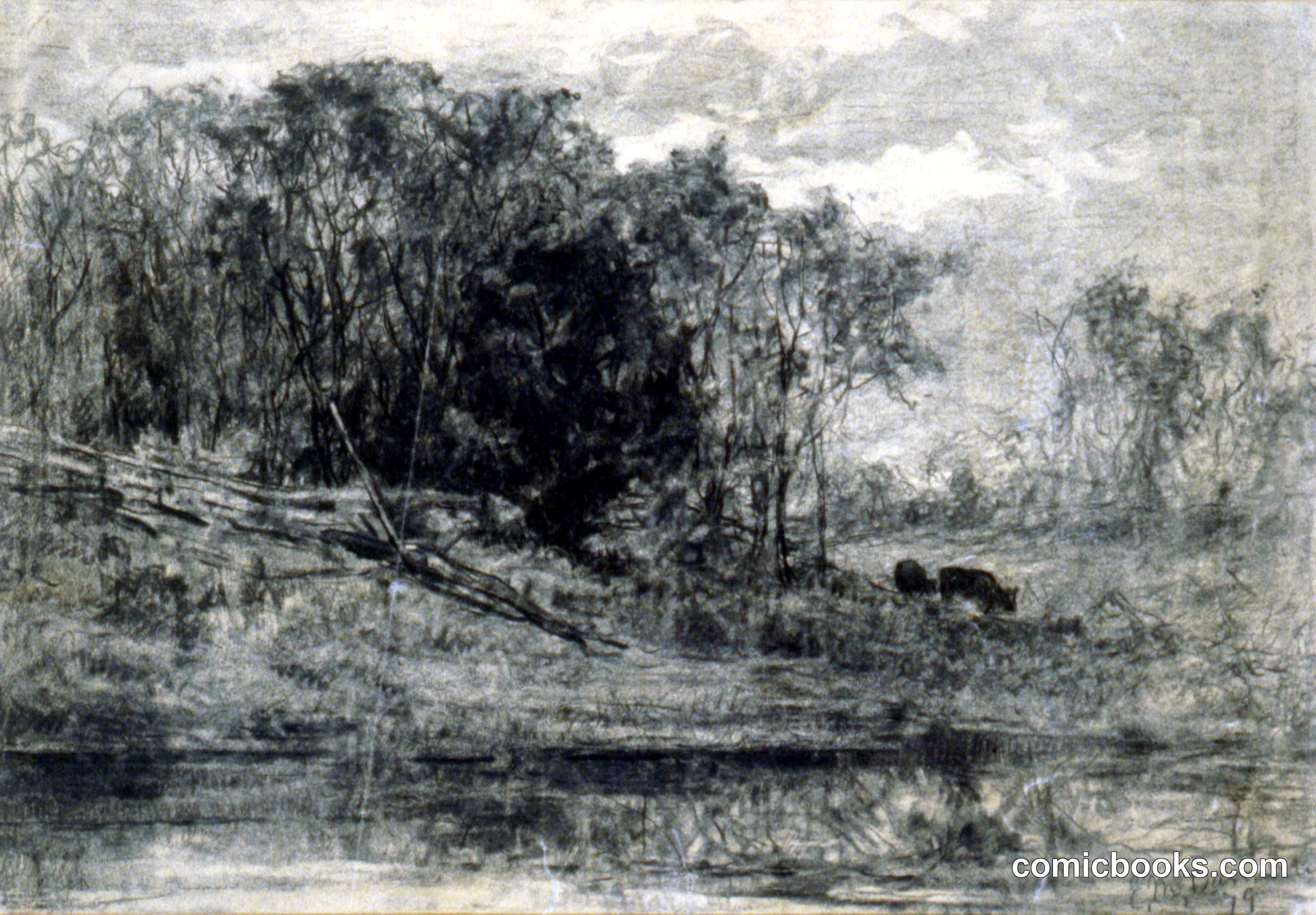 Cows in the Forest