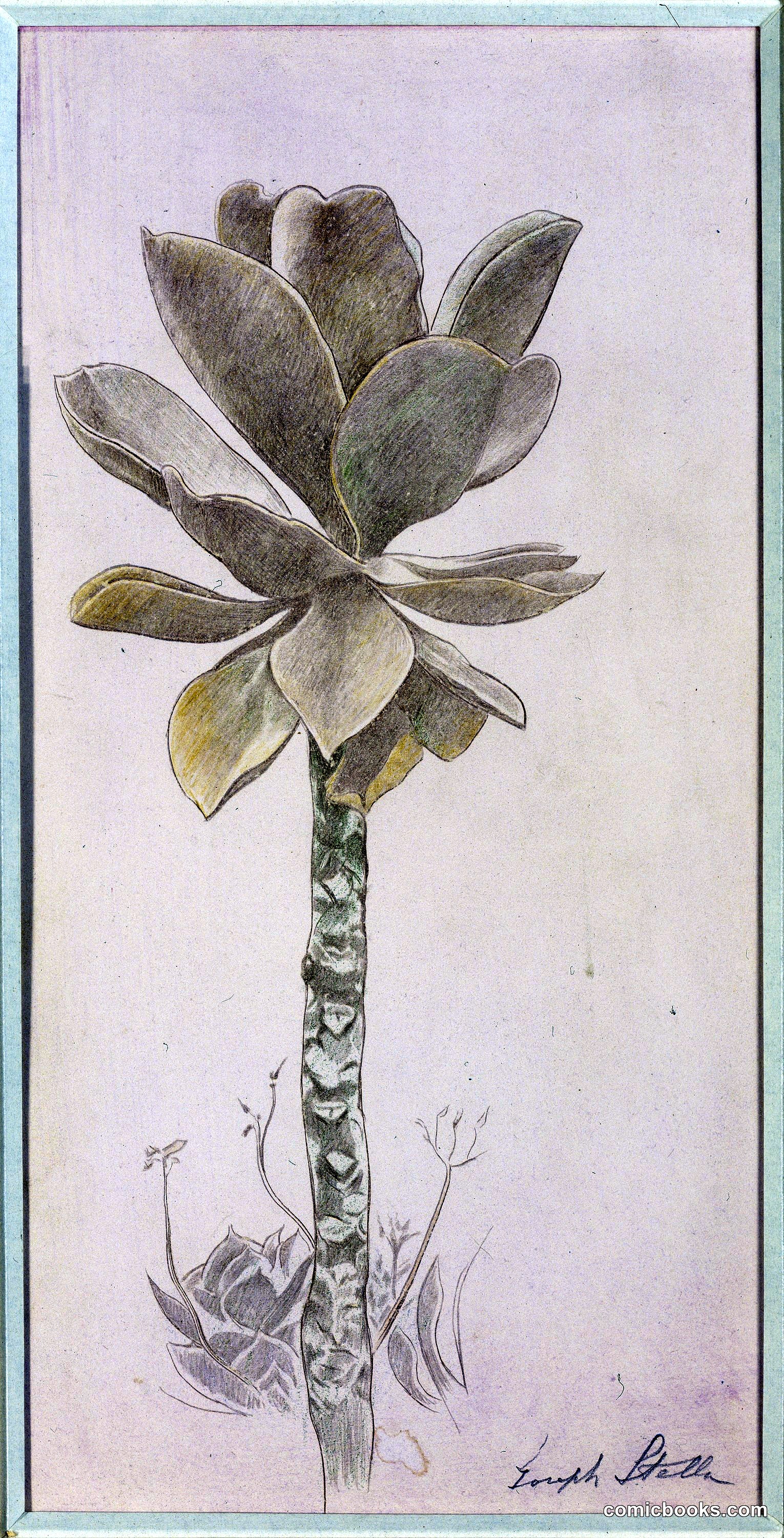 Flower Study
