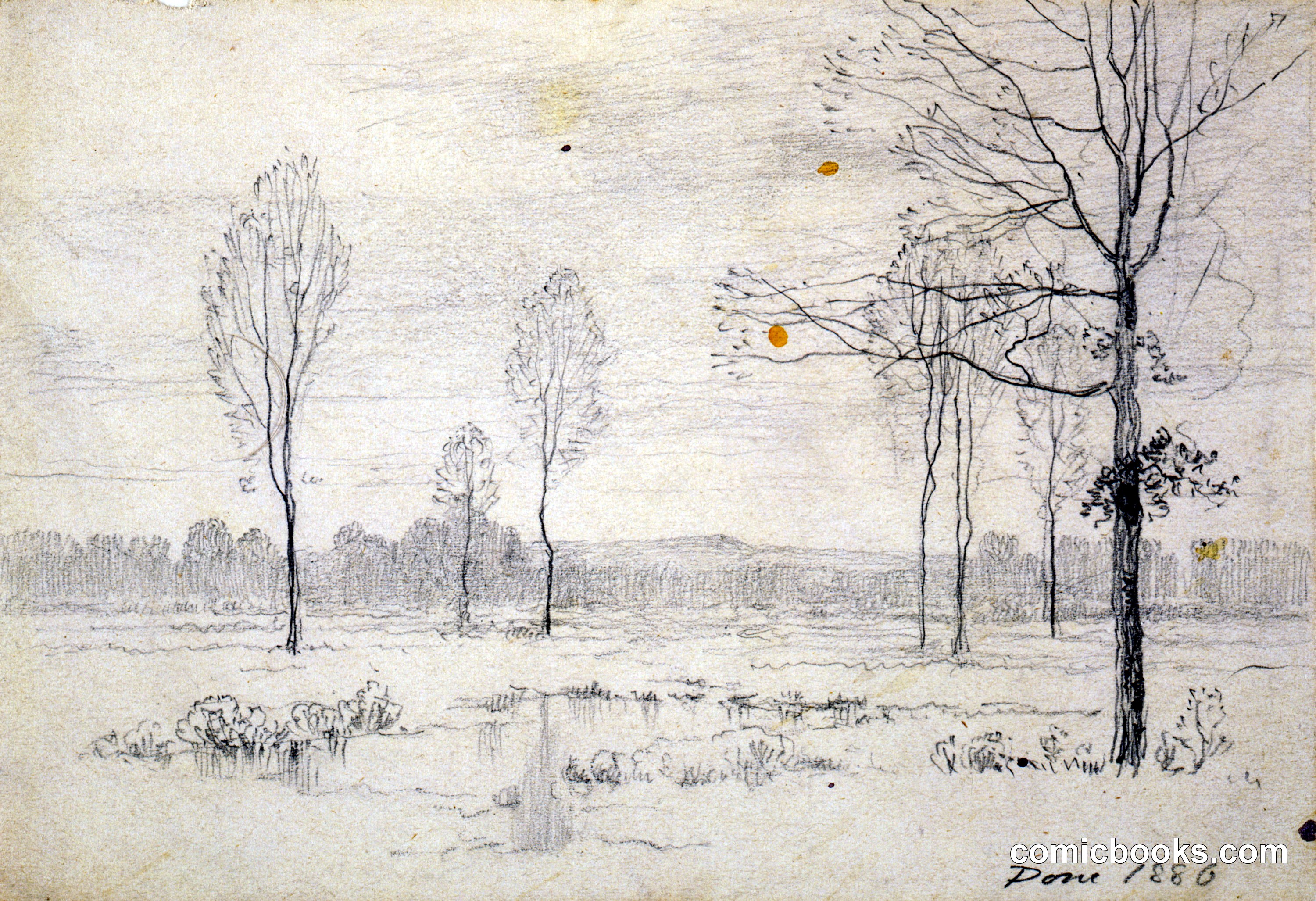 Landscape