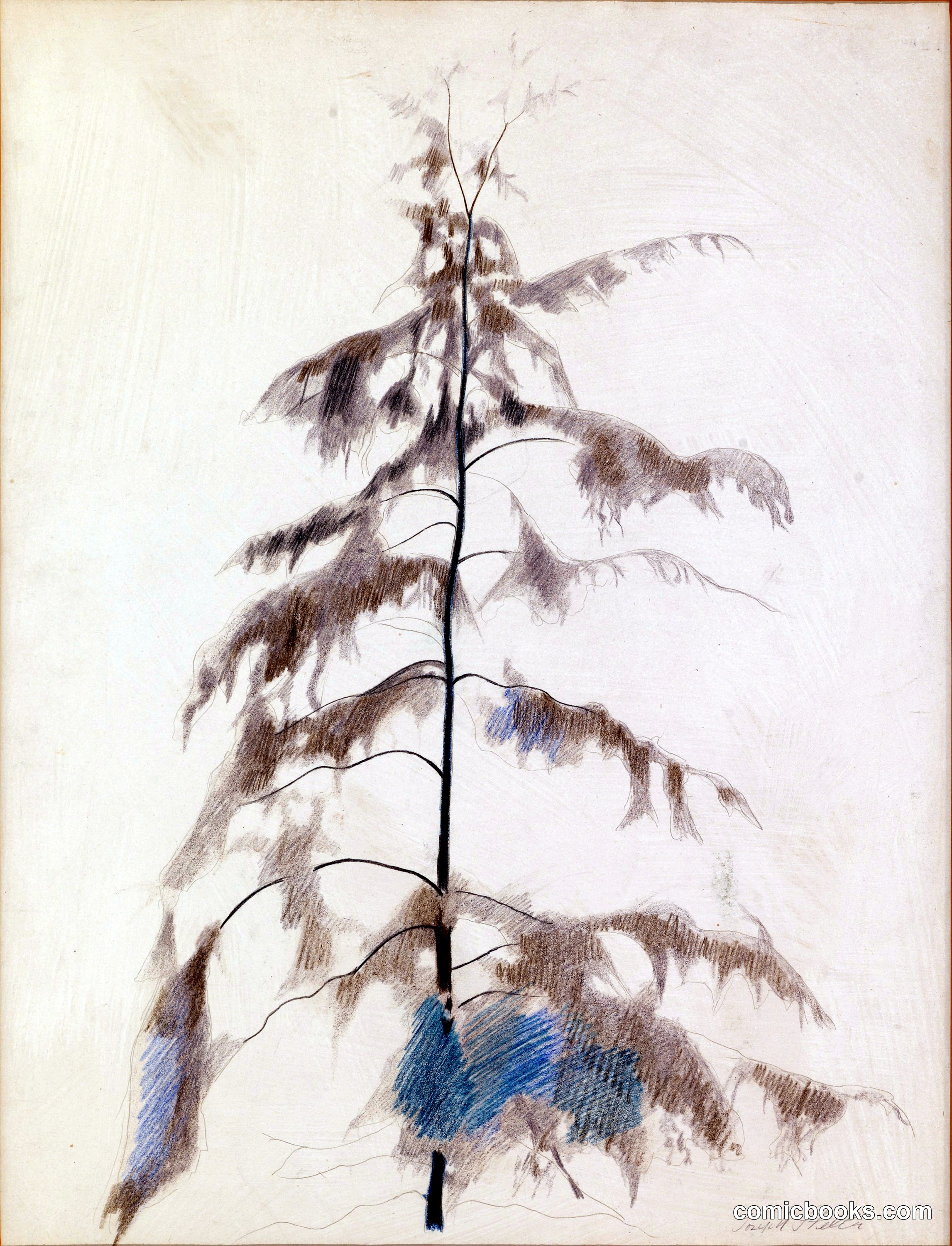 Pine Tree