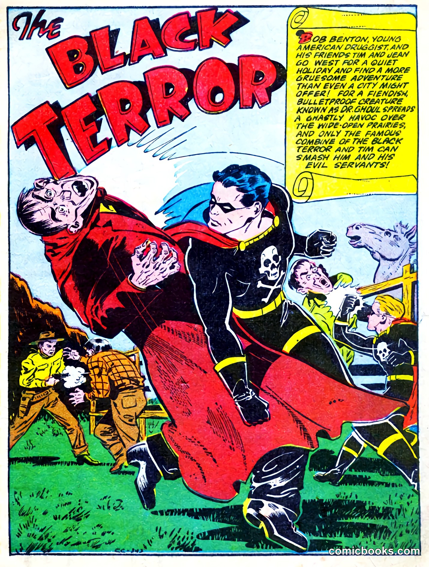 The Black Terror