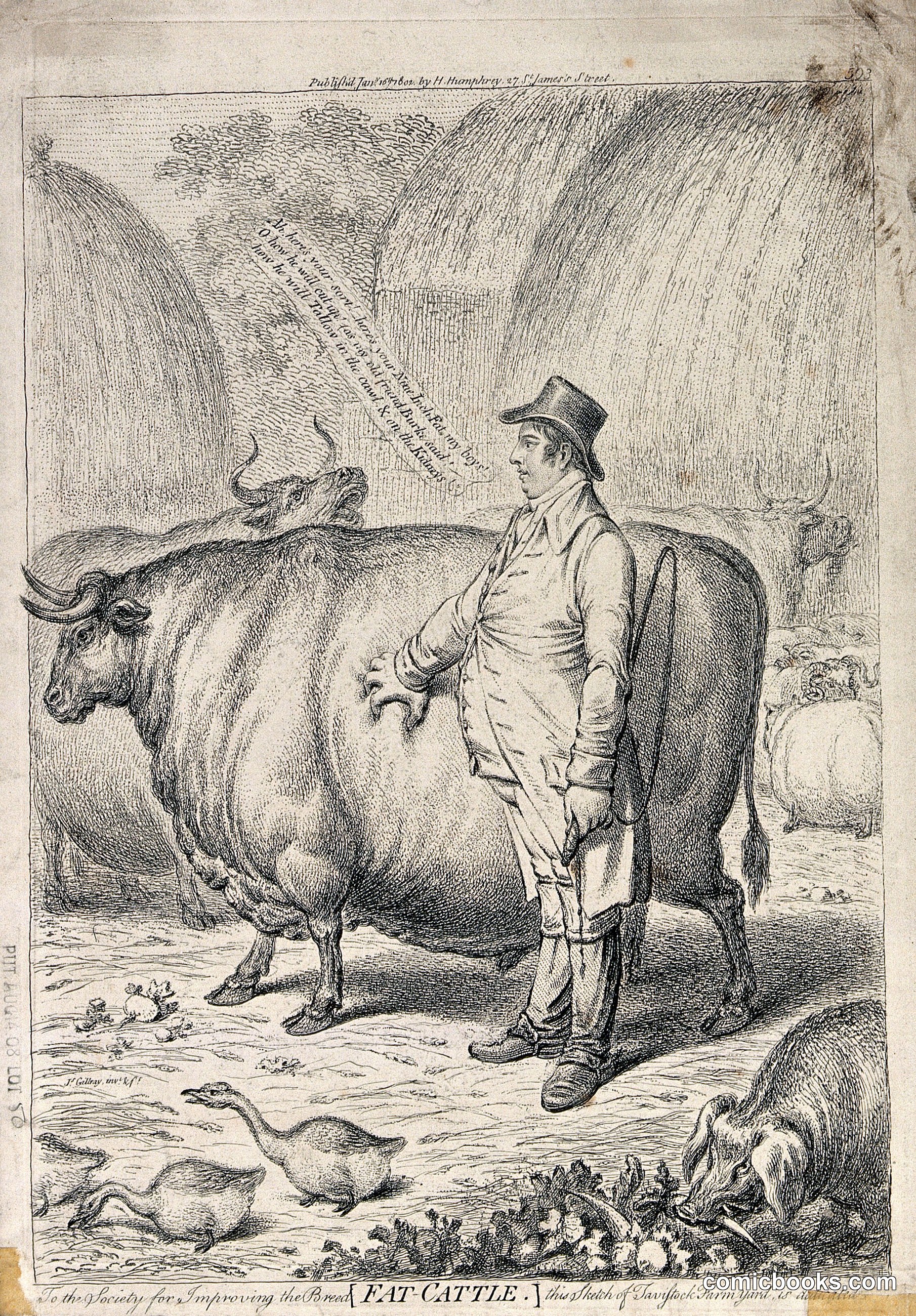 A Fat Judge Pinching and Admiring the Fat on the Side of a Fat Bullock