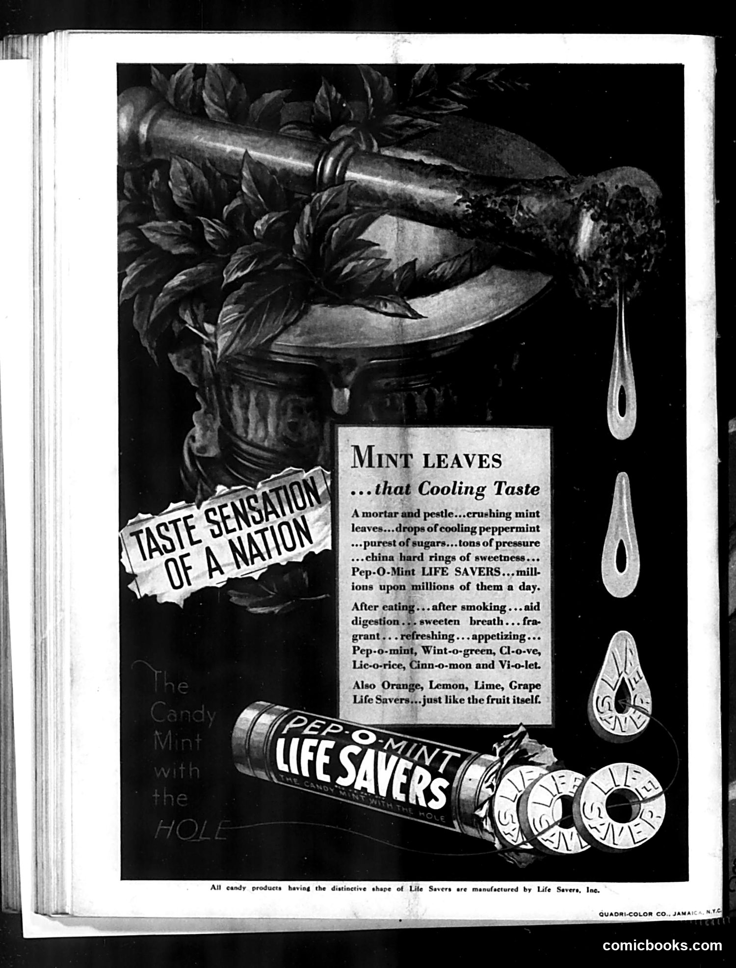 Judge — November 1, 1930 — page 36 of 36