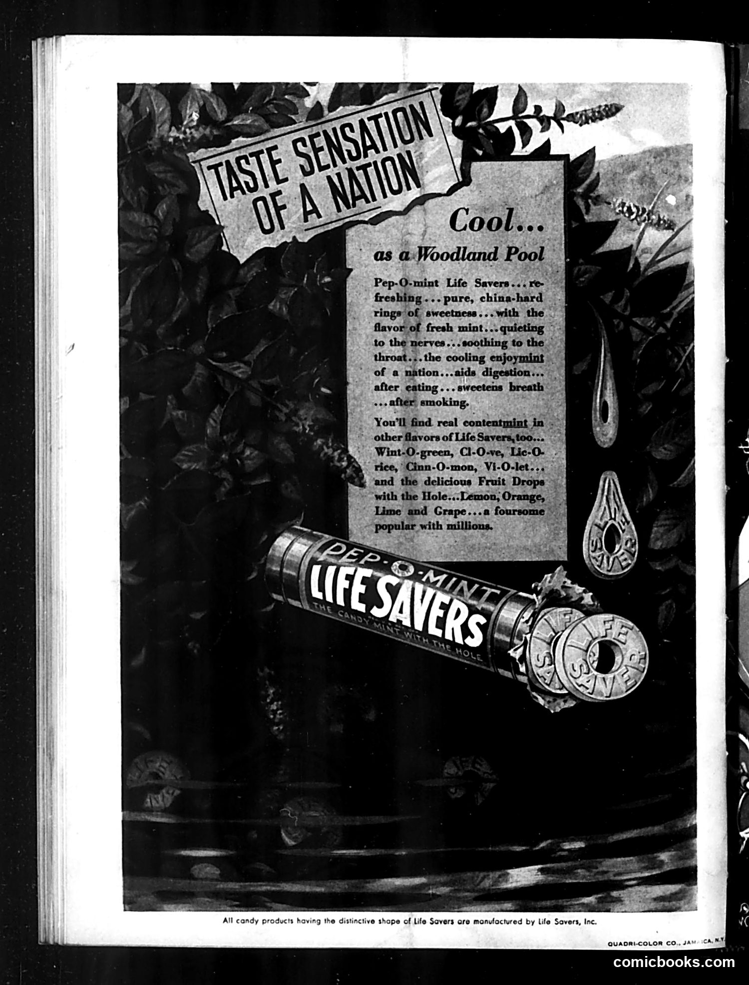 Judge — March 7, 1931 — page 36 of 36