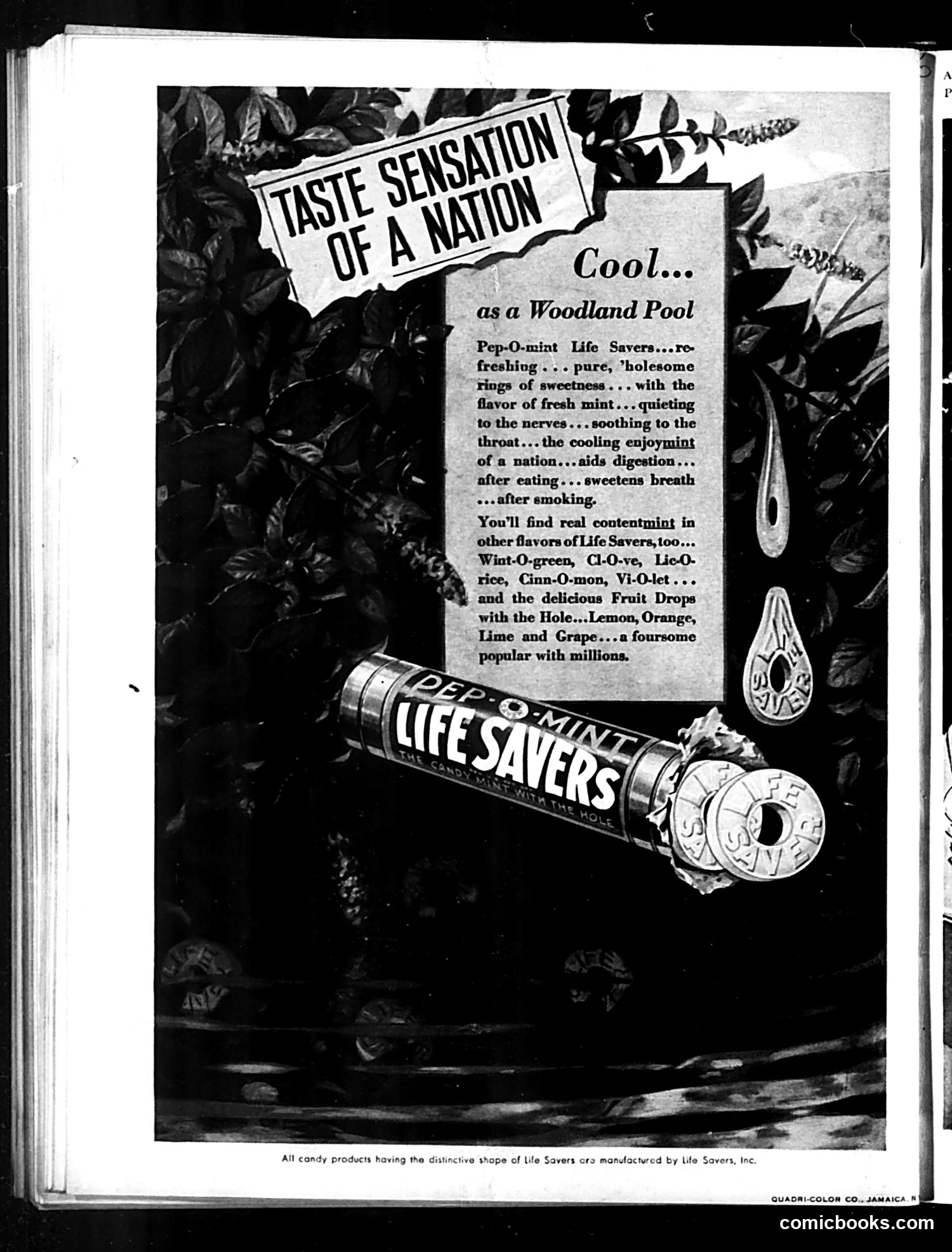 Judge — August 1, 1931 — page 36 of 36