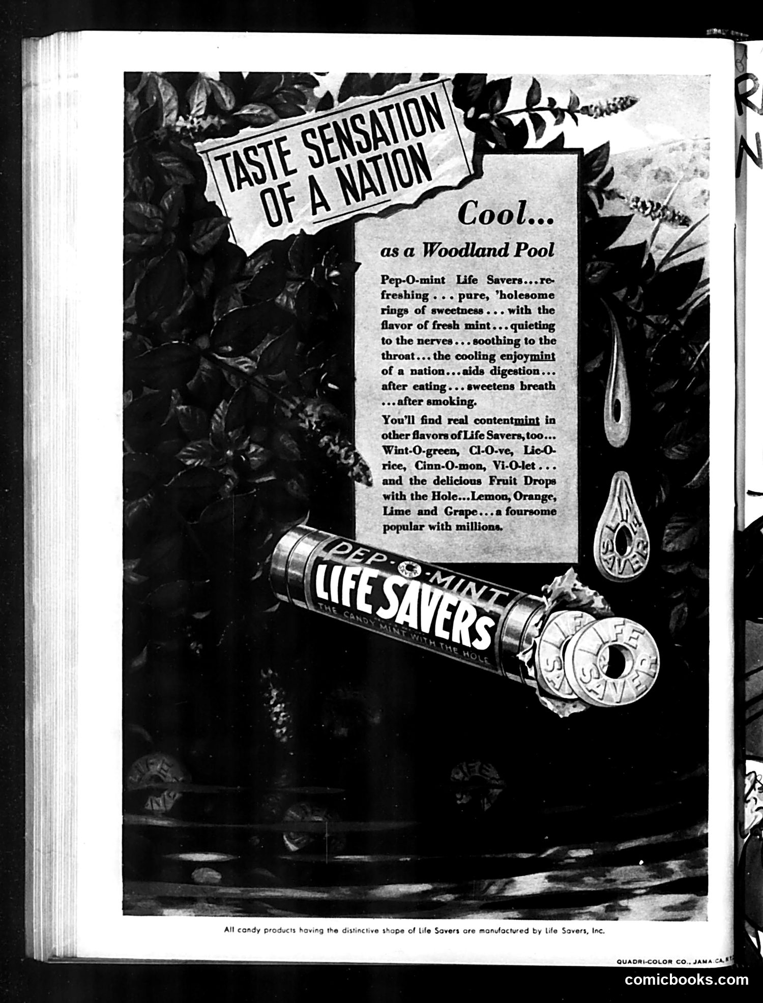 Judge — April 16, 1932 — page 36 of 36
