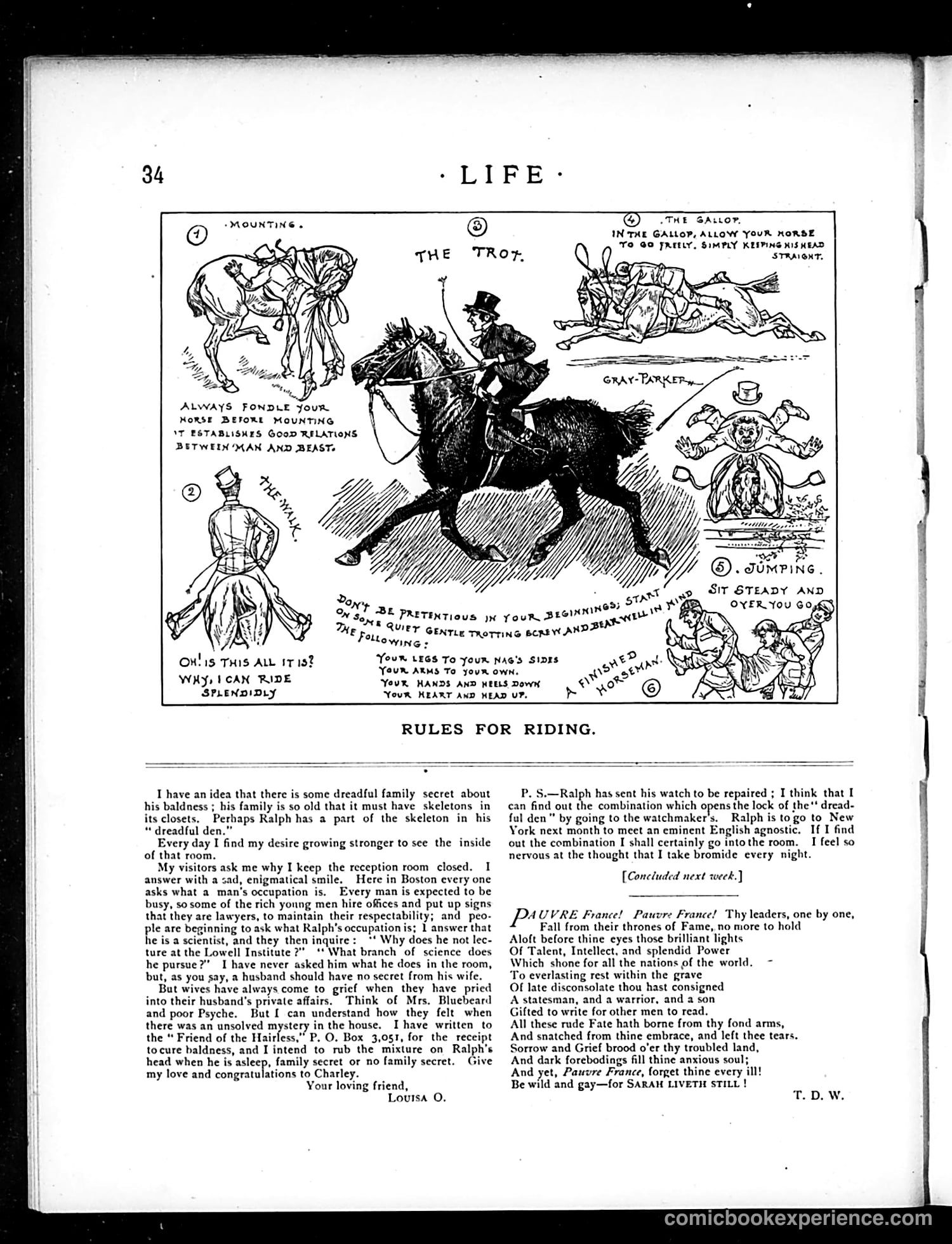 Life — January 18, 1883 — page 12 of 16