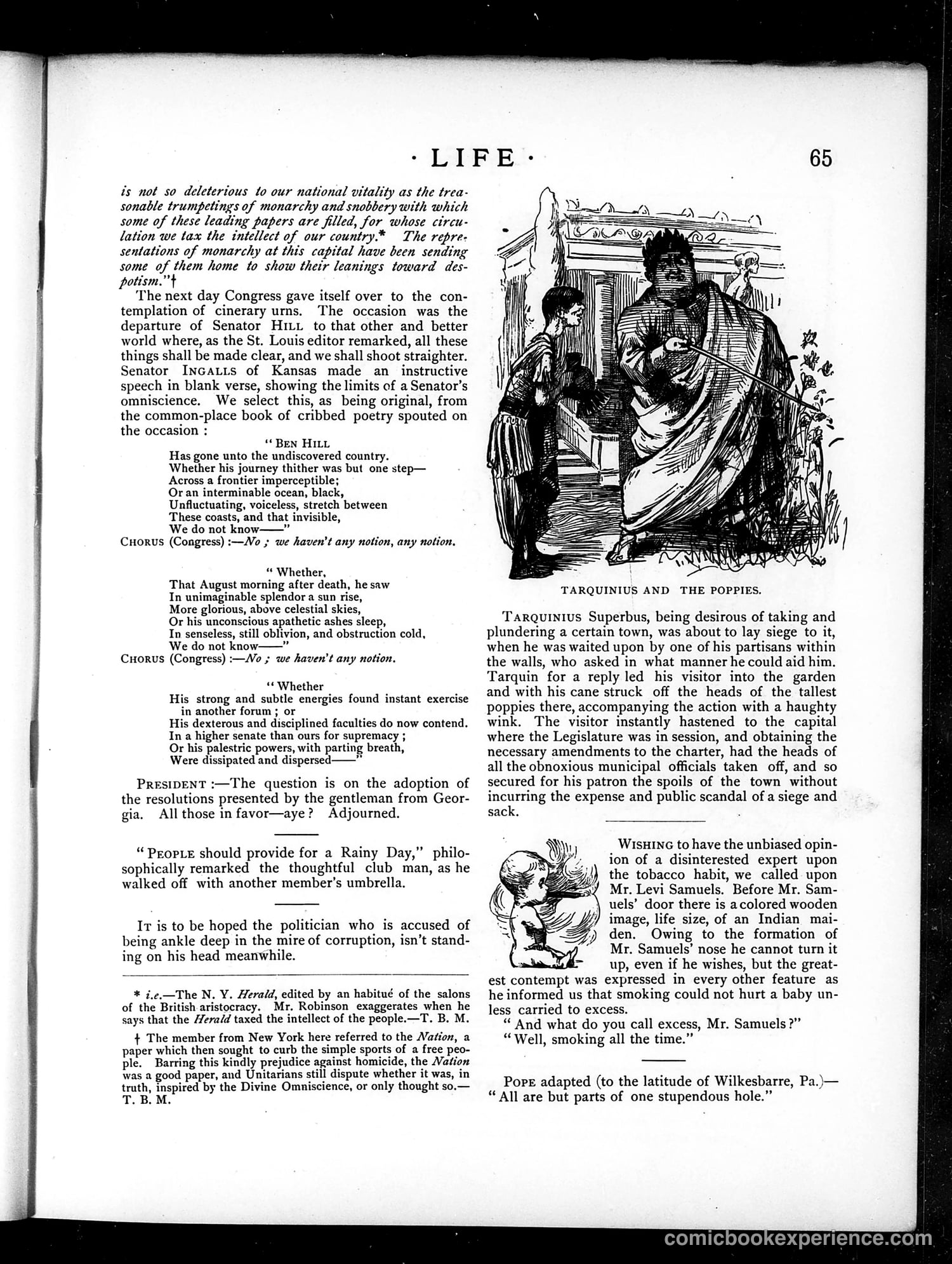 Life — February 8, 1883 — page 7 of 16
