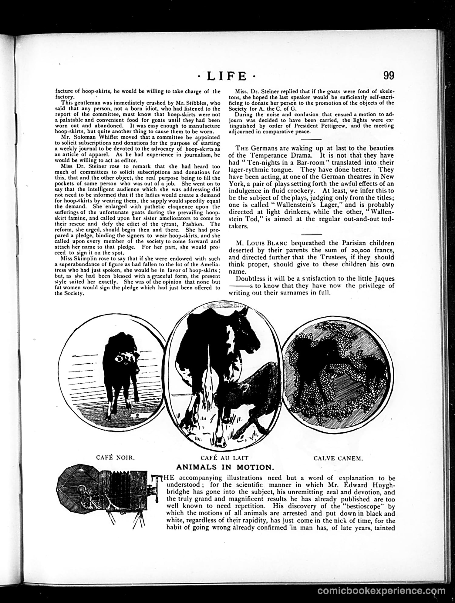 Life — March 1, 1883 — page 5 of 16