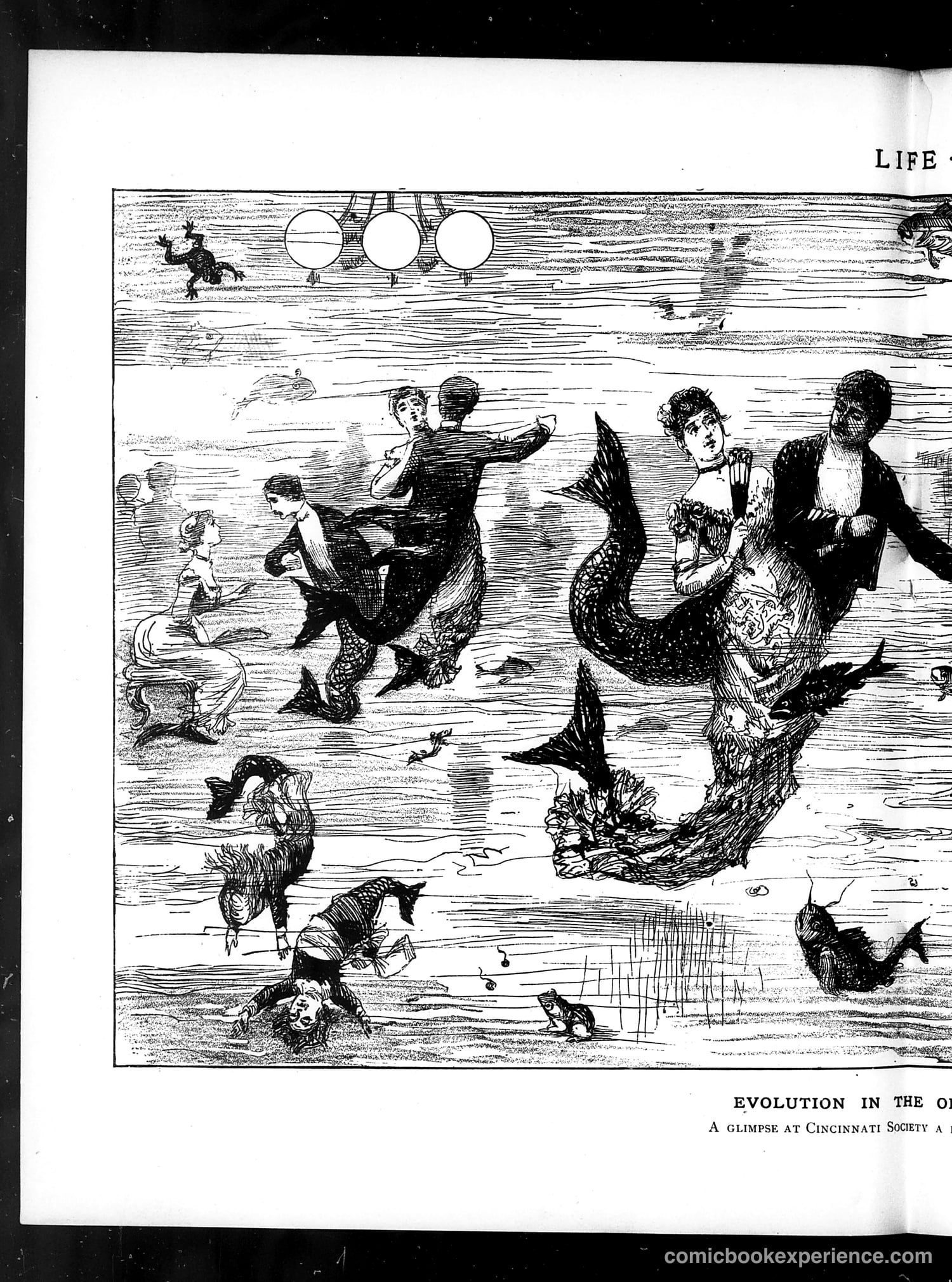 Life — March 8, 1883 — page 8 of 16