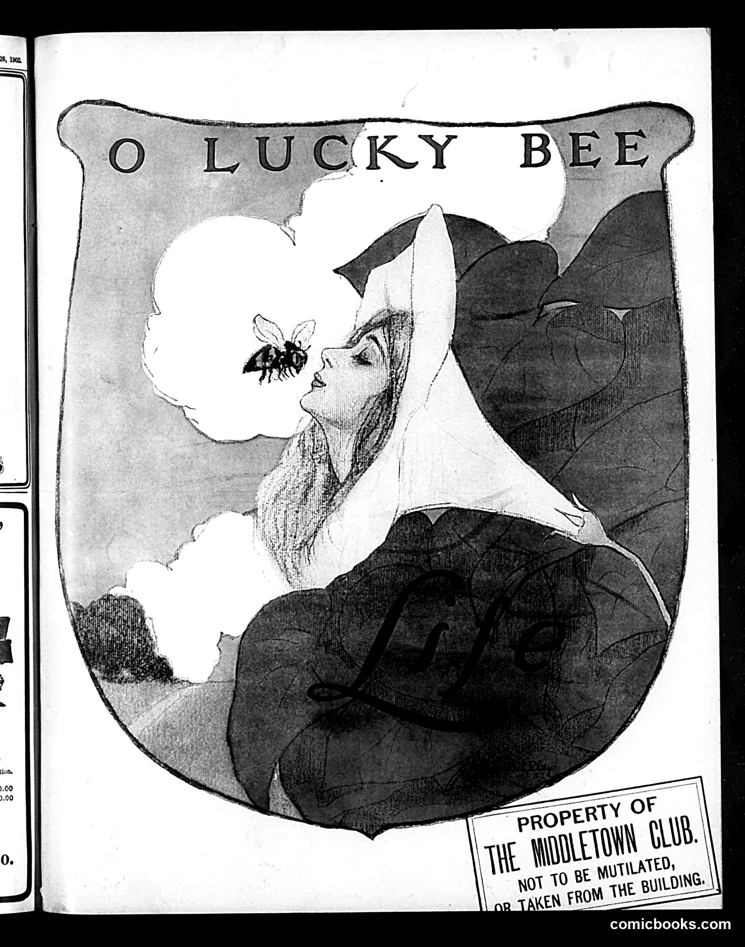Life — June 4, 1903 — page 1 of 36
