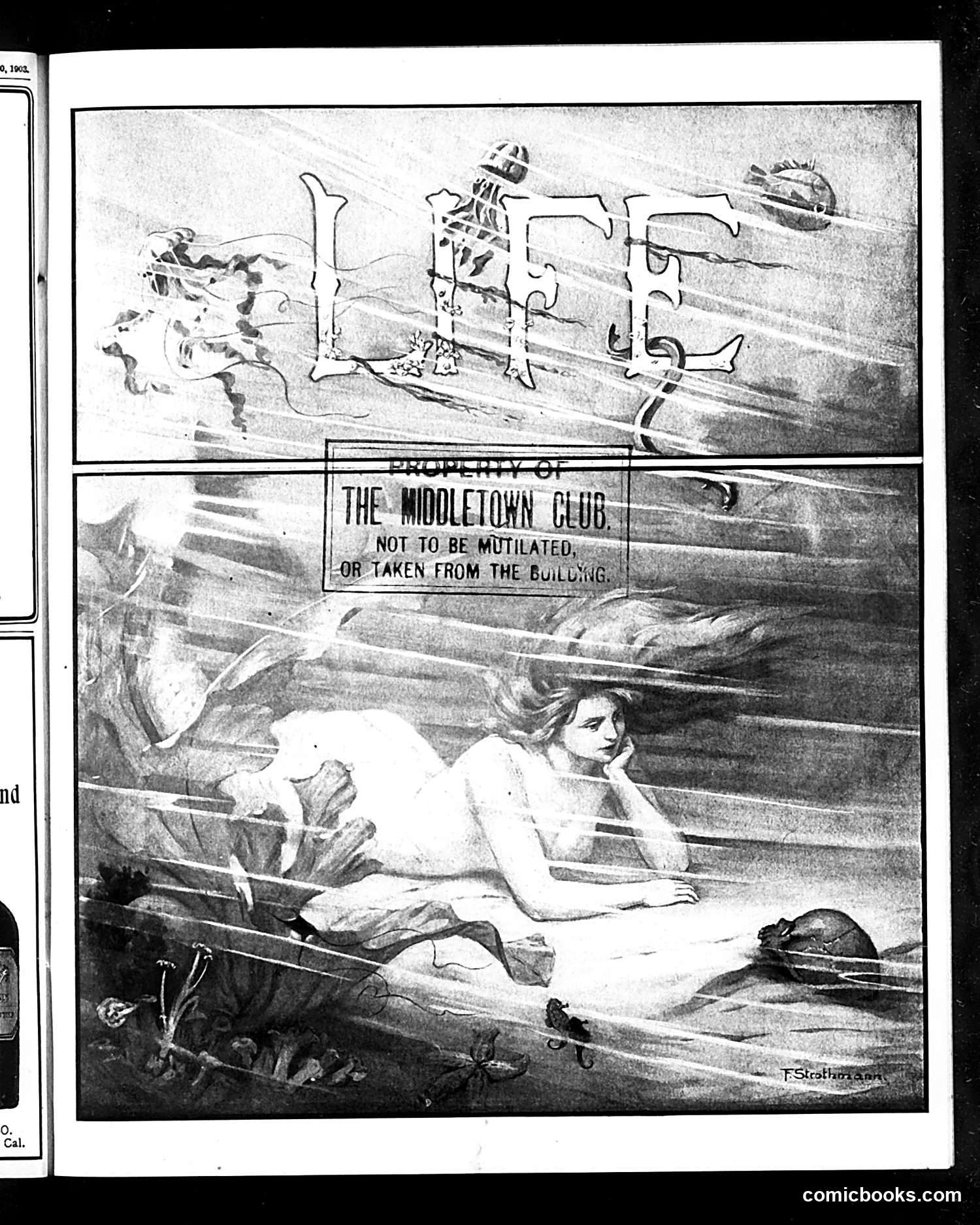 Life — August 6, 1903 — page 1 of 32