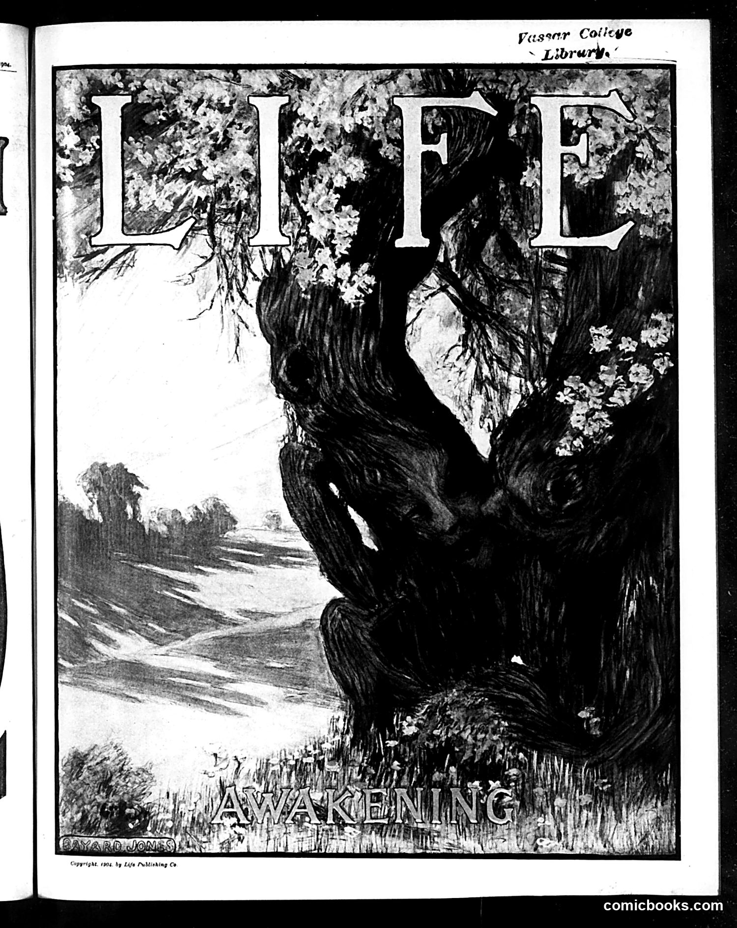 Life — May 26, 1904 — page 1 of 22