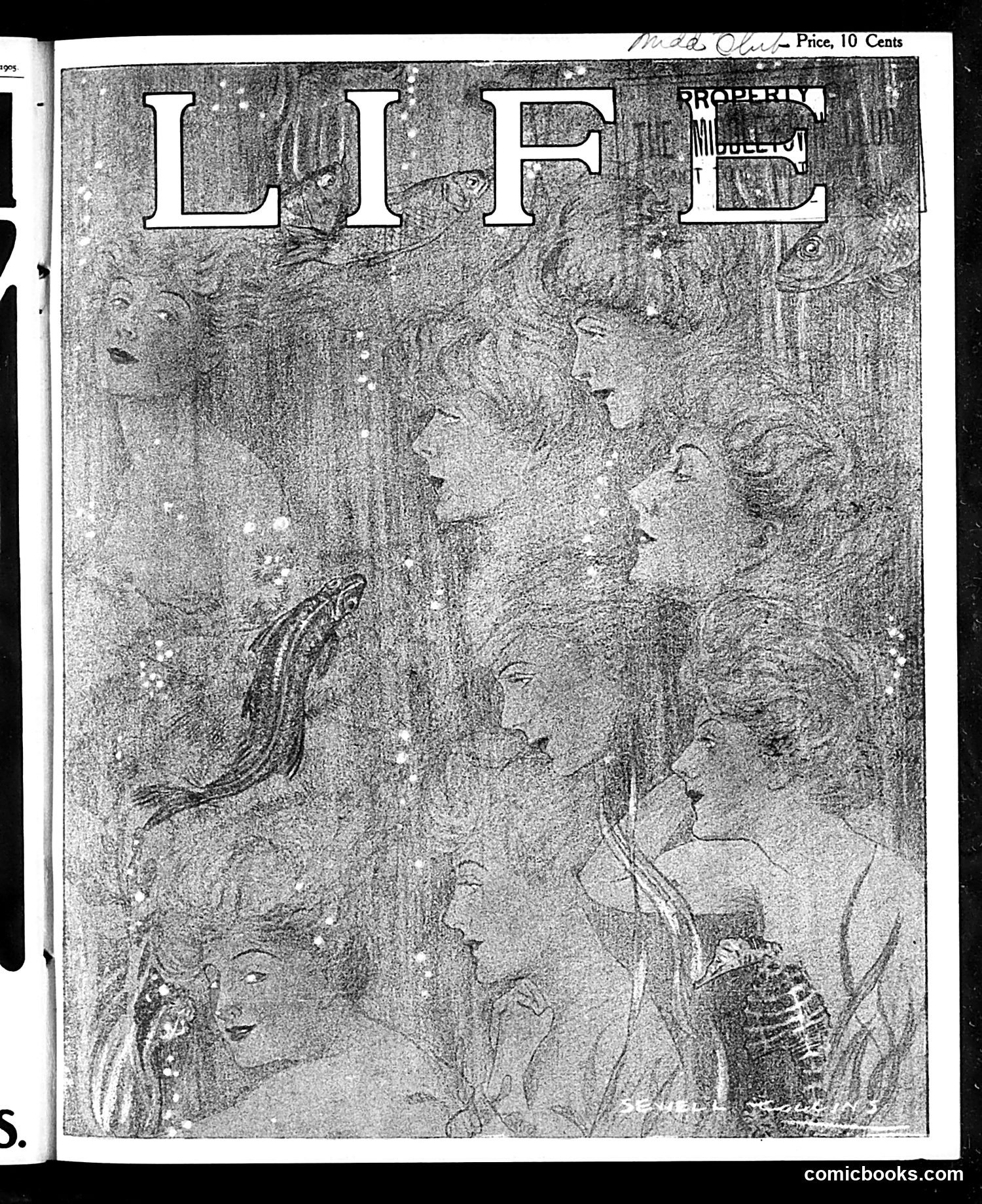 Life — July 20, 1905 — page 1 of 28